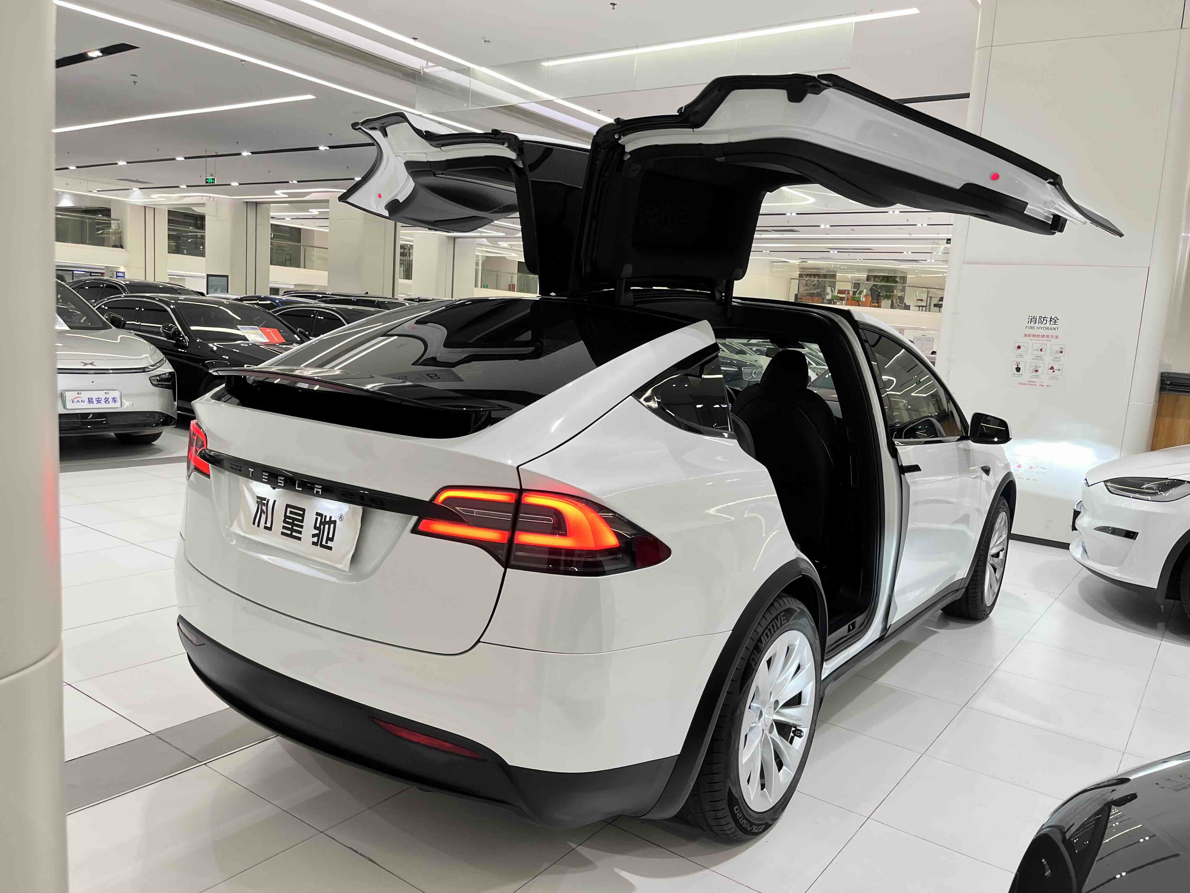 特斯拉 Model X 2020 汽车图片 #3