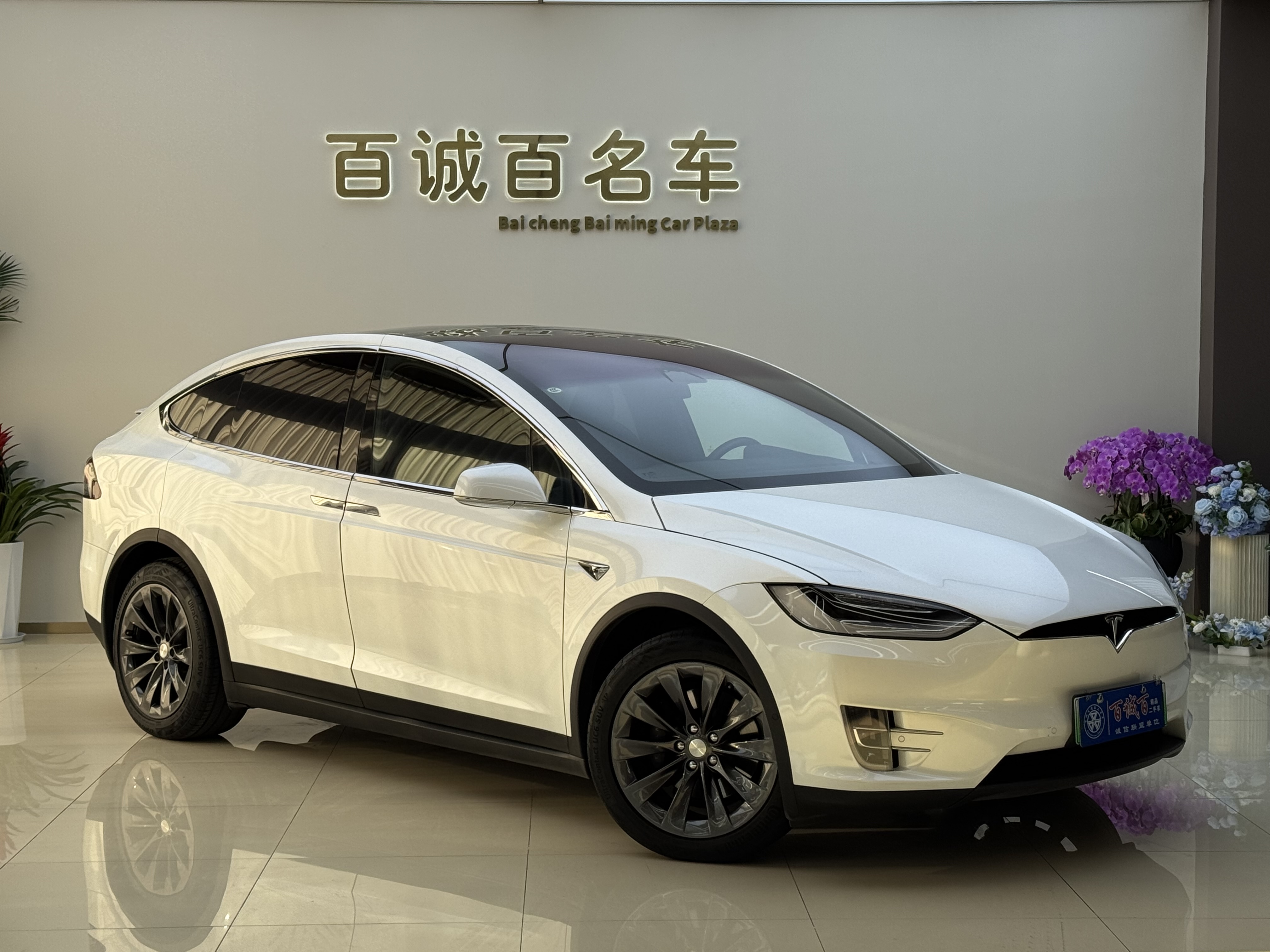 Tesla Model X 2020 #3 Tesla Model X 2020 car image #3