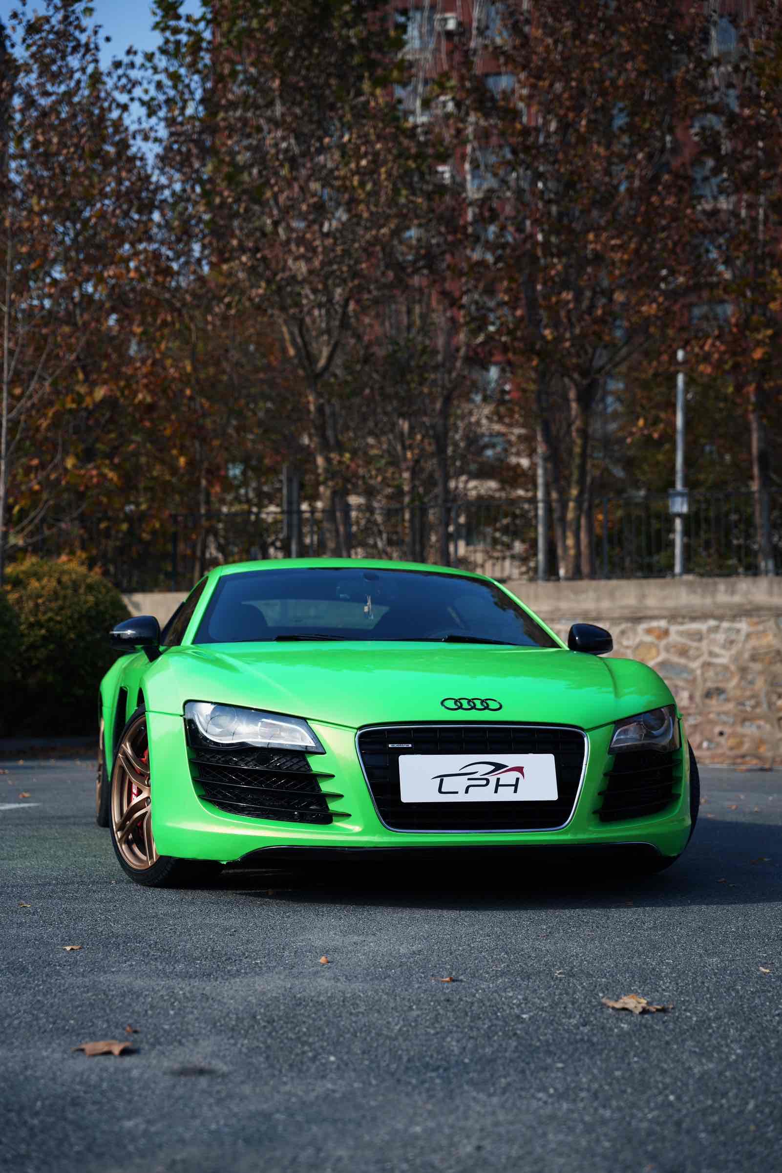 Audi R8 2008 immagine di auto #3