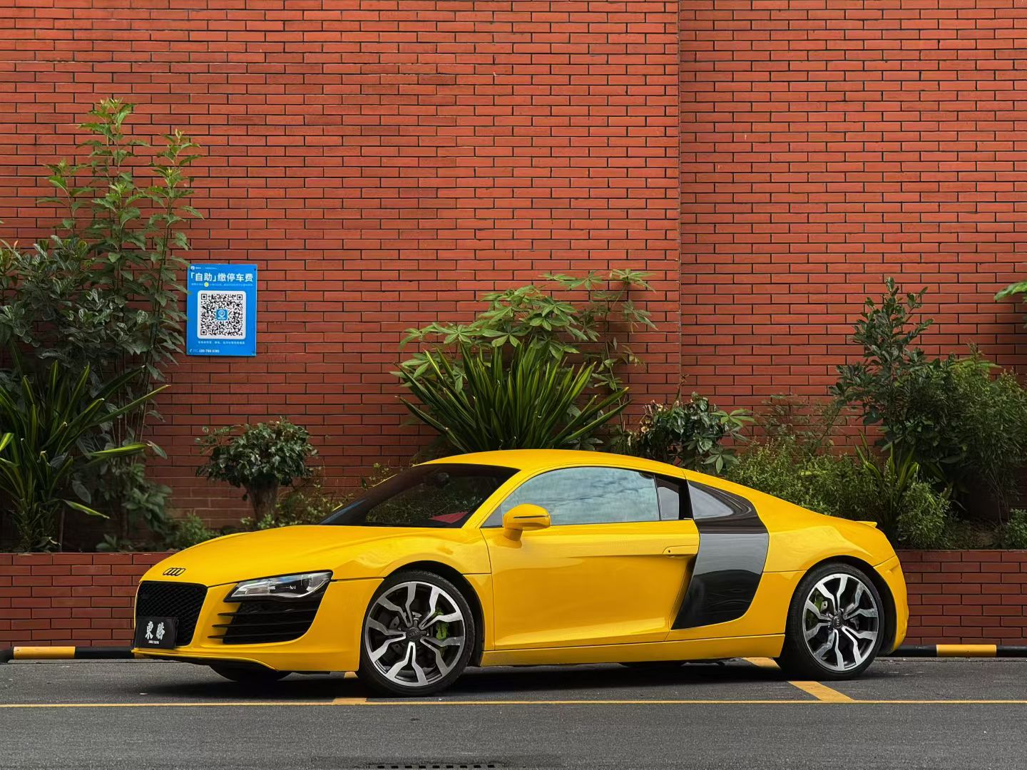 Audi R8 2008 #3 Audi R8 2008 immagine di auto #3