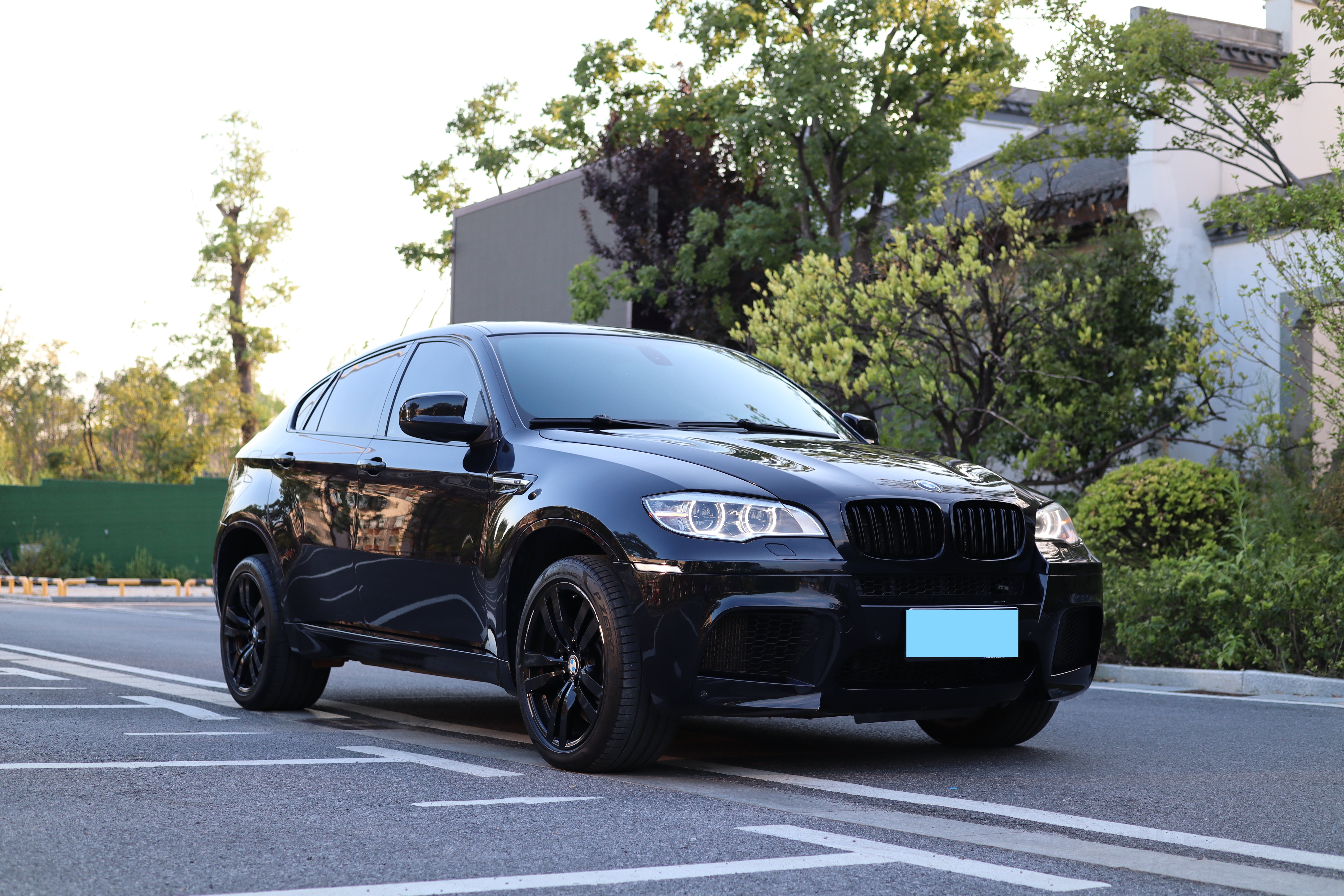 BMW X6 2012 car image #3