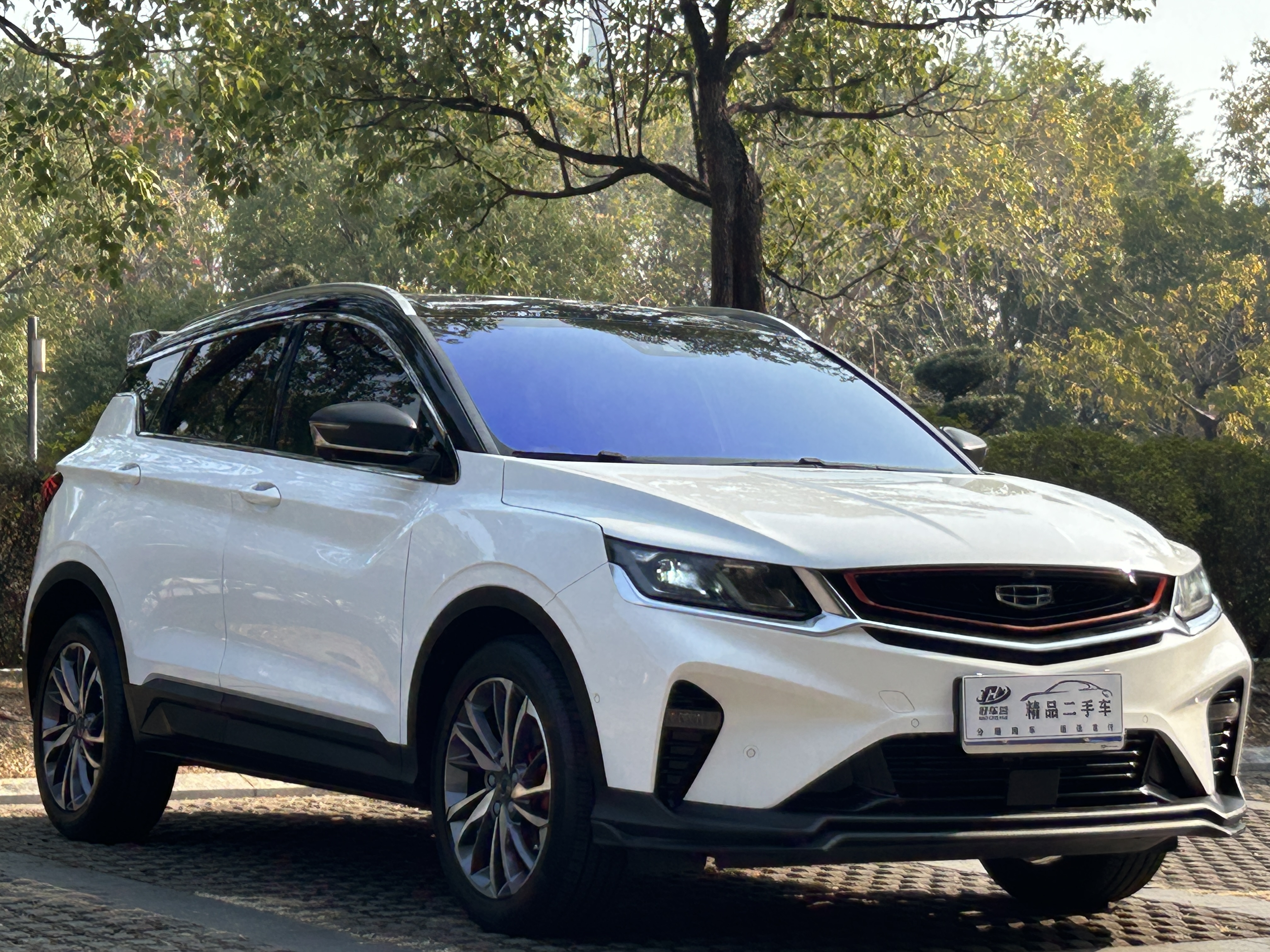 GEELY Coolray 2020 #3 GEELY Coolray 2020 car image #3