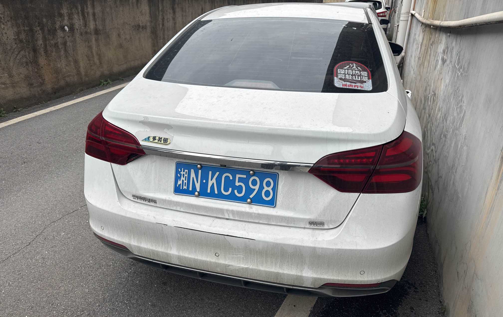 Emgrand 2019 car image #3