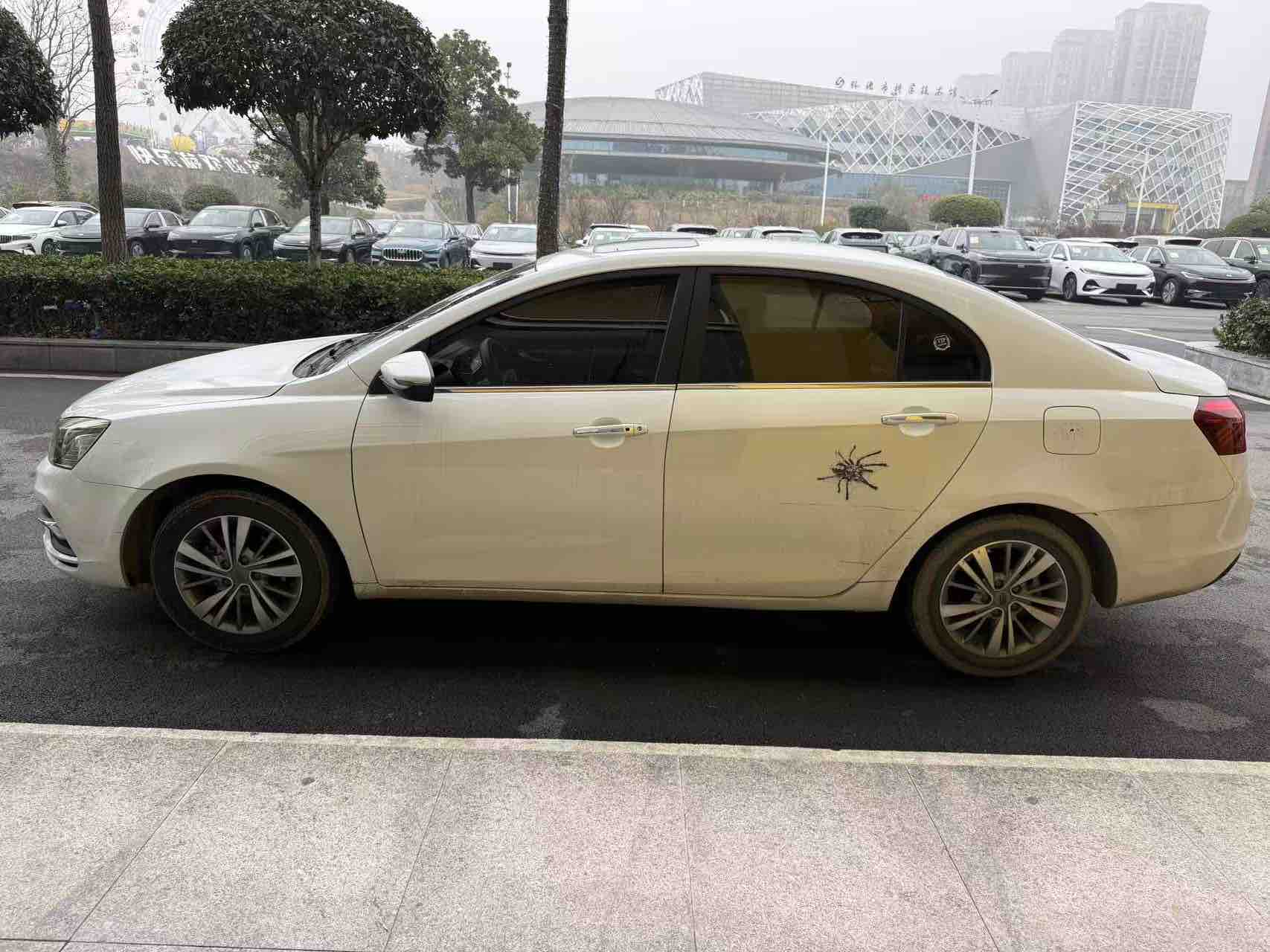 Emgrand 2019 #3 Emgrand 2019 car image #3