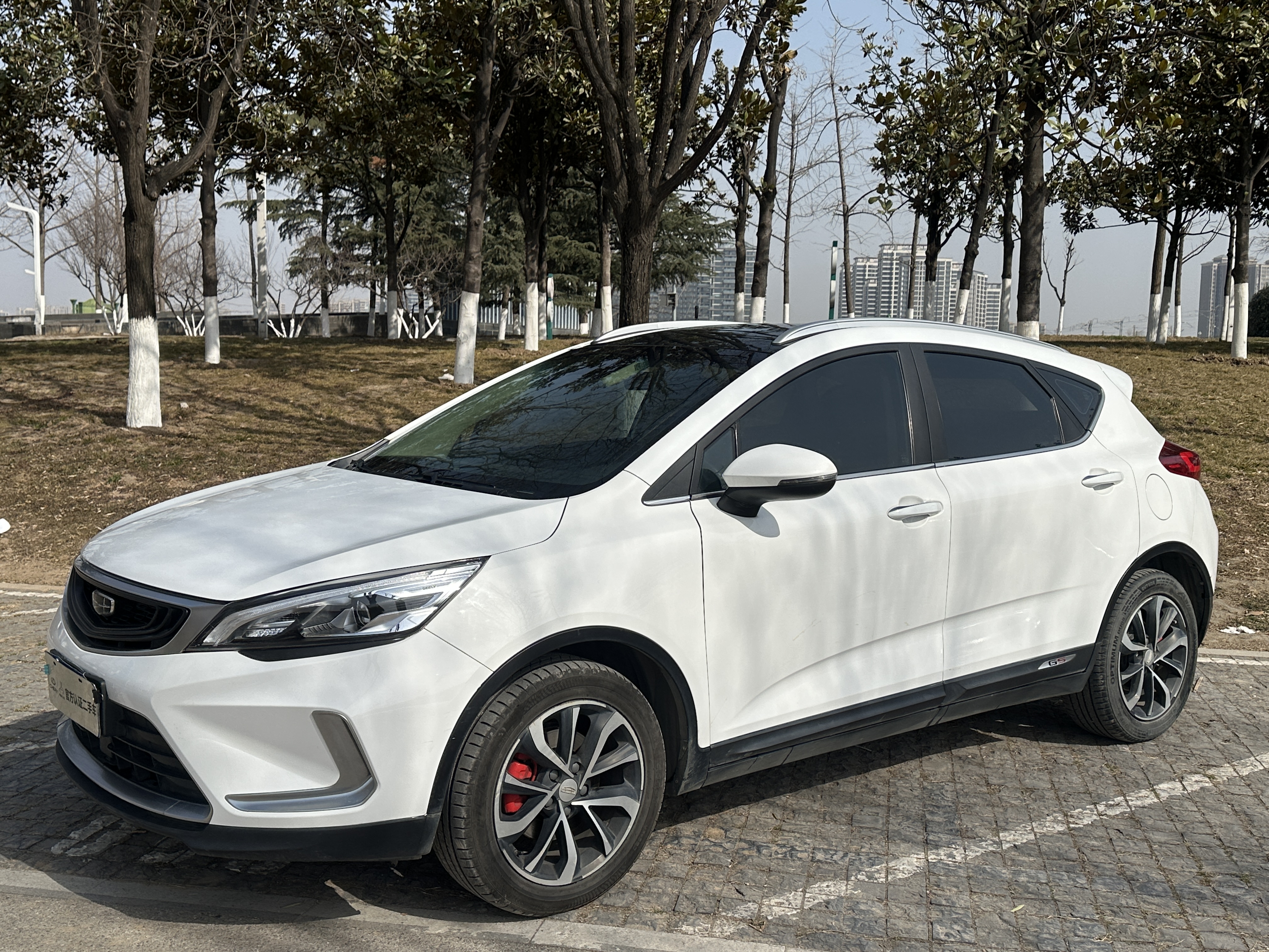 Emgrand GS 2020 #3 Emgrand GS 2020 car image #3