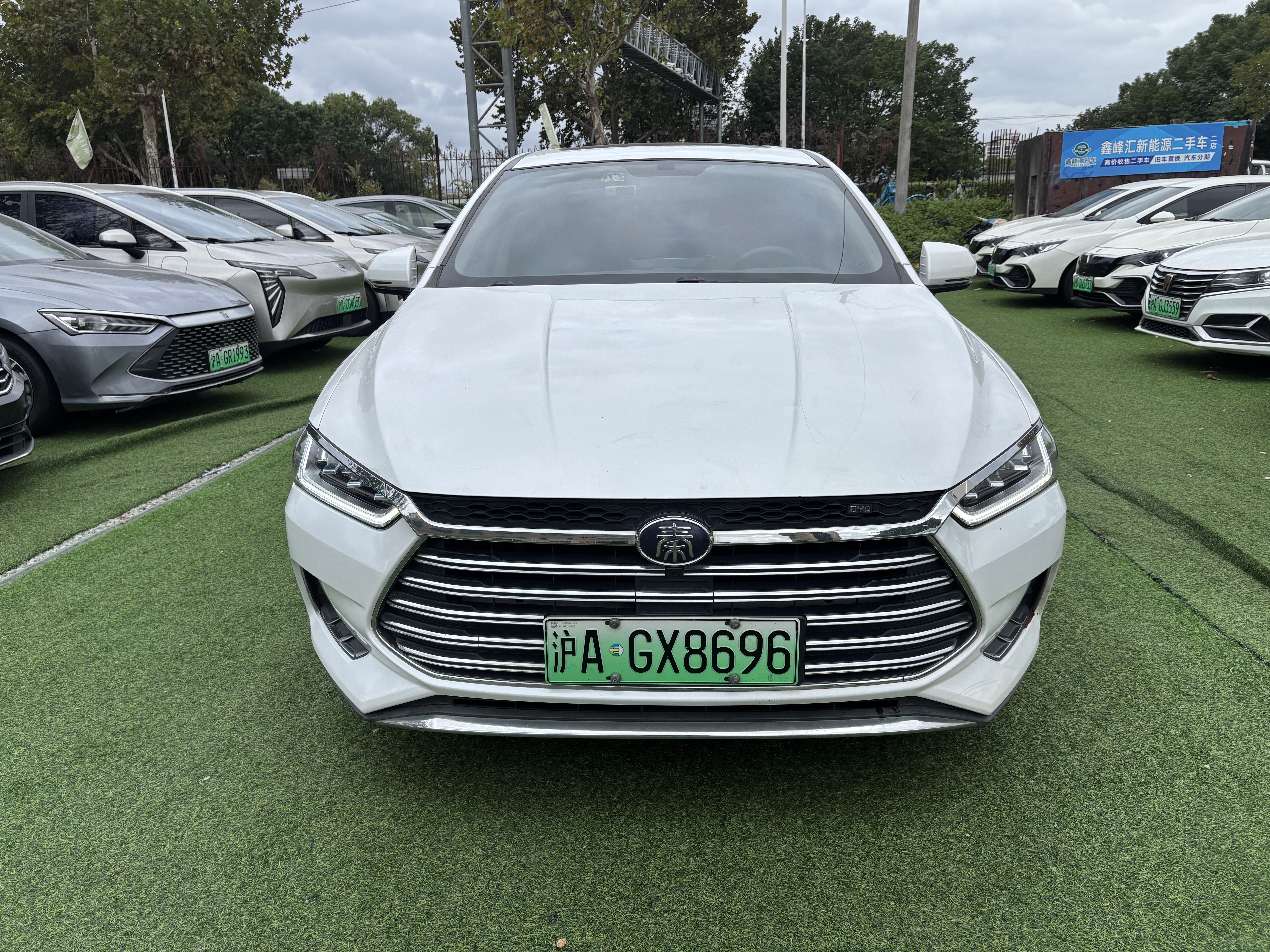 BYD Qin Pro New Energy 2019 immagine di auto #3