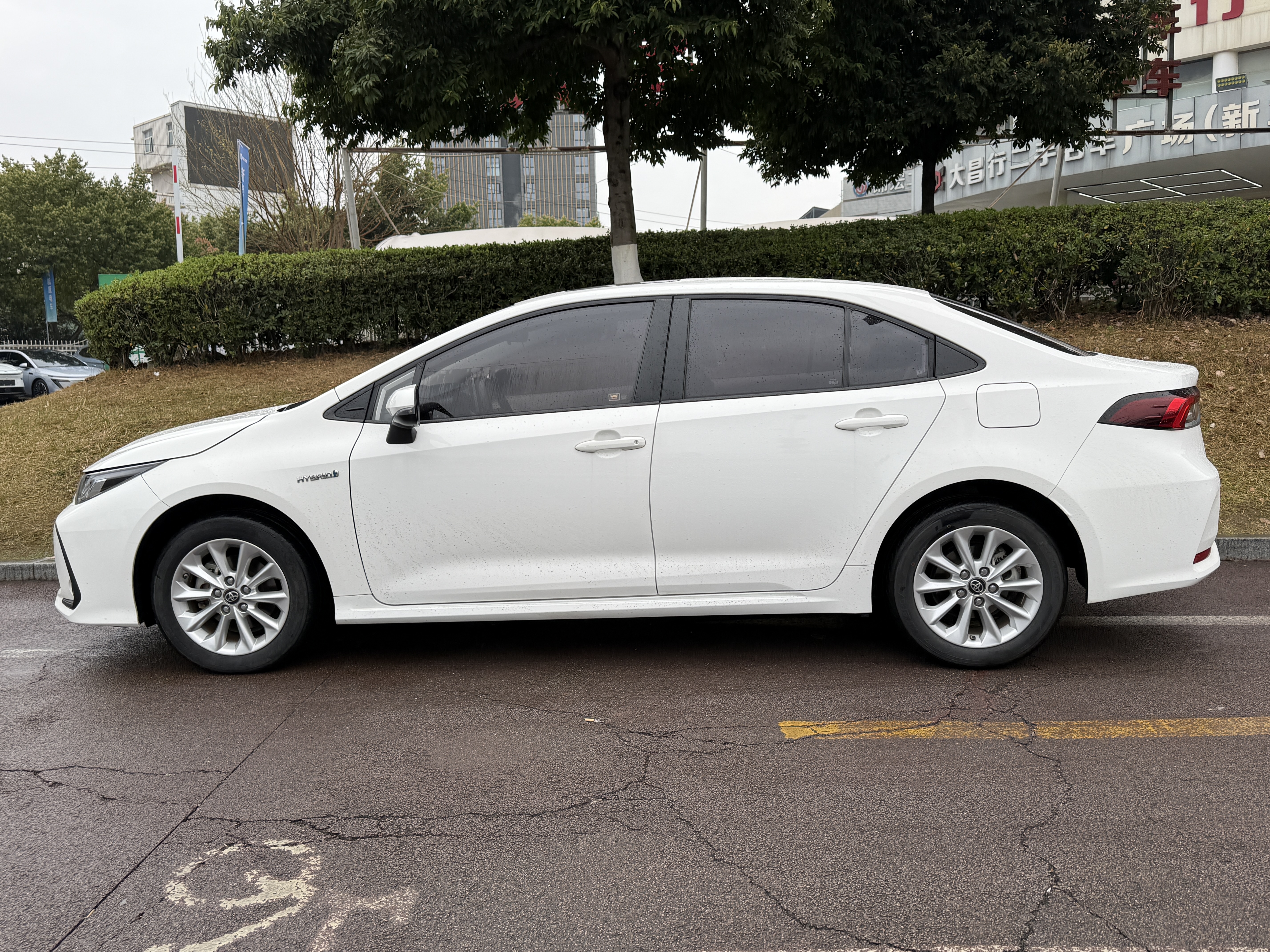 Corolla 2019 car image #3