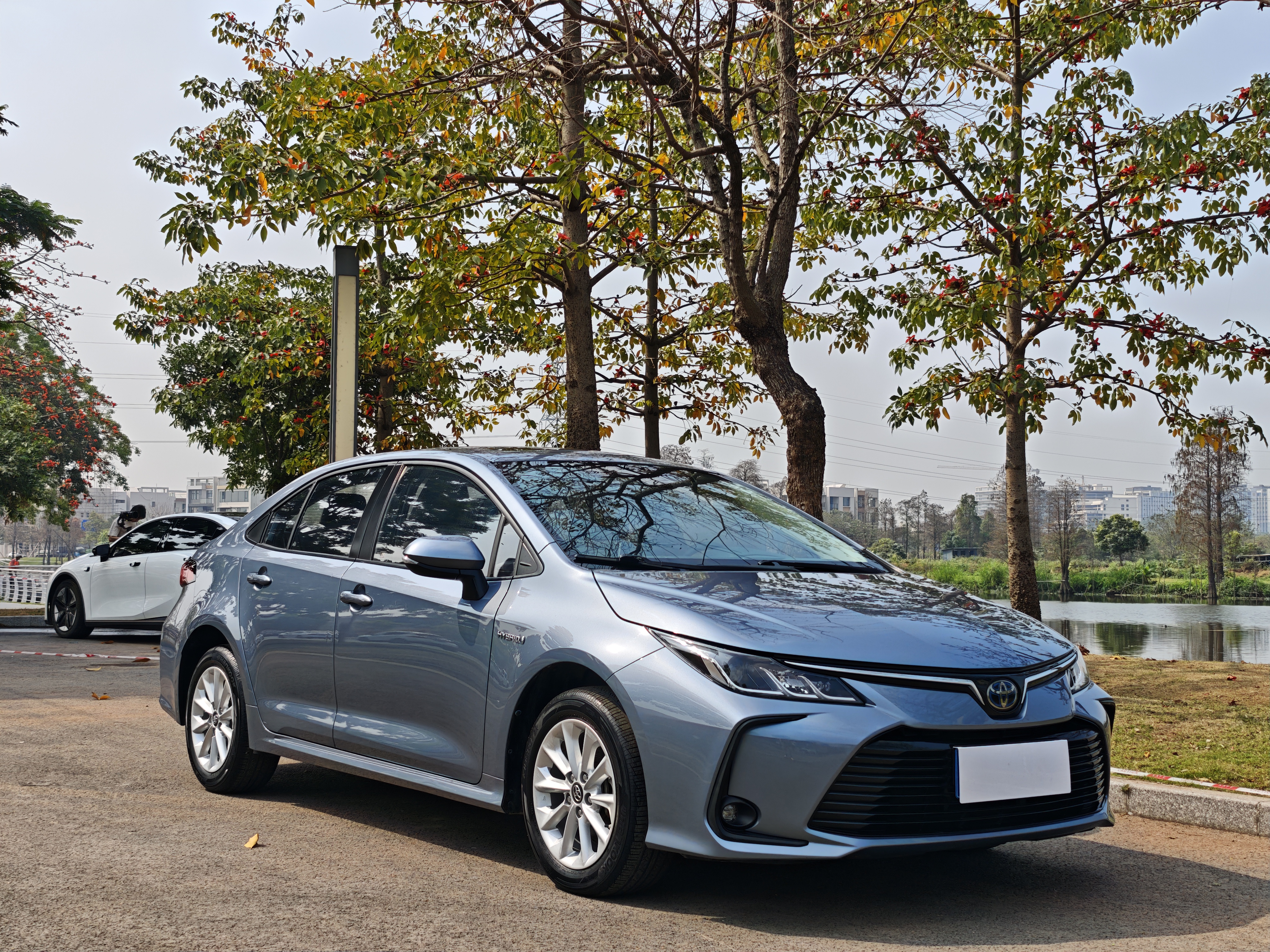Toyota Corolla 2020 car image #3
