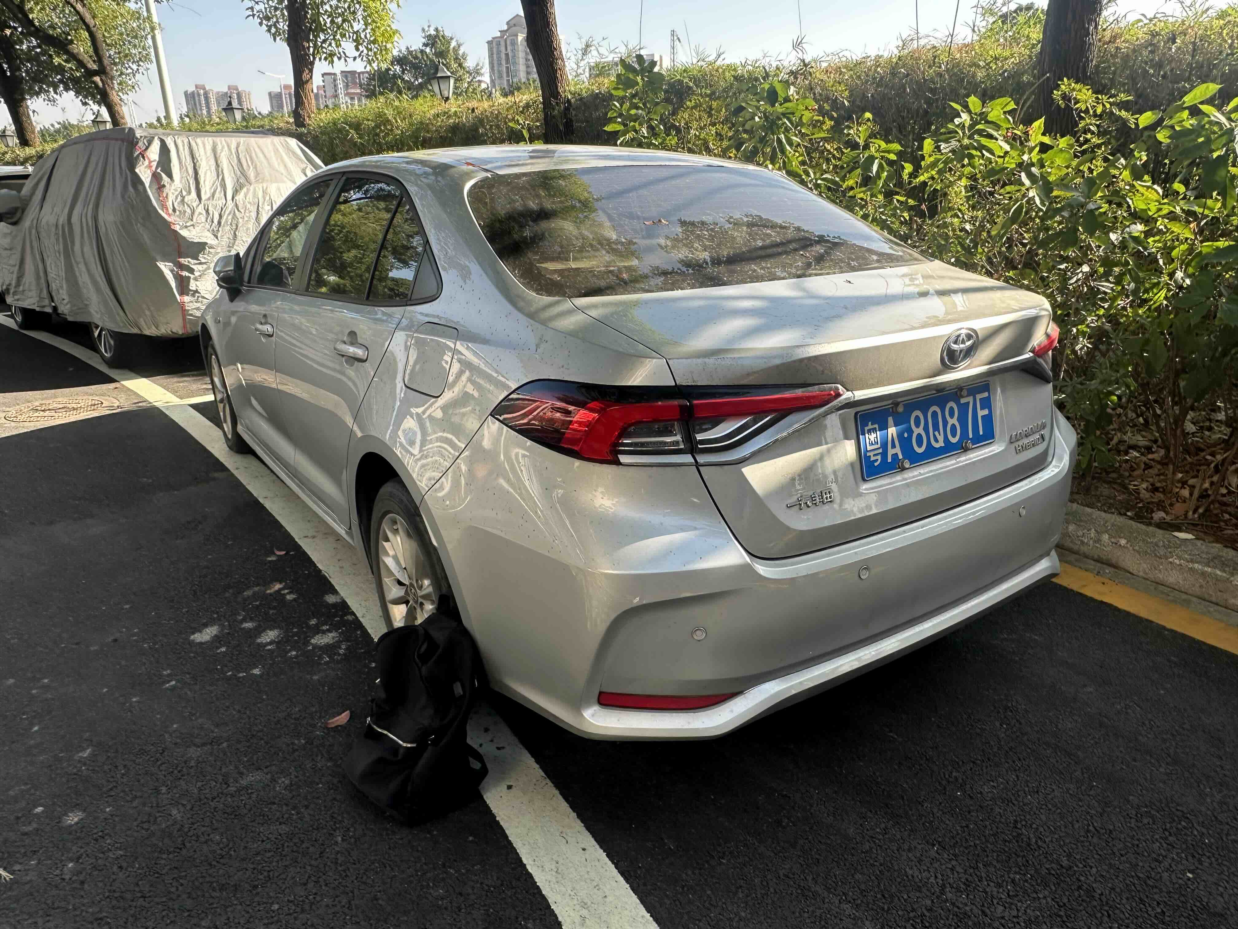 Toyota Corolla 2019 #3 Toyota Corolla 2019 car image #3