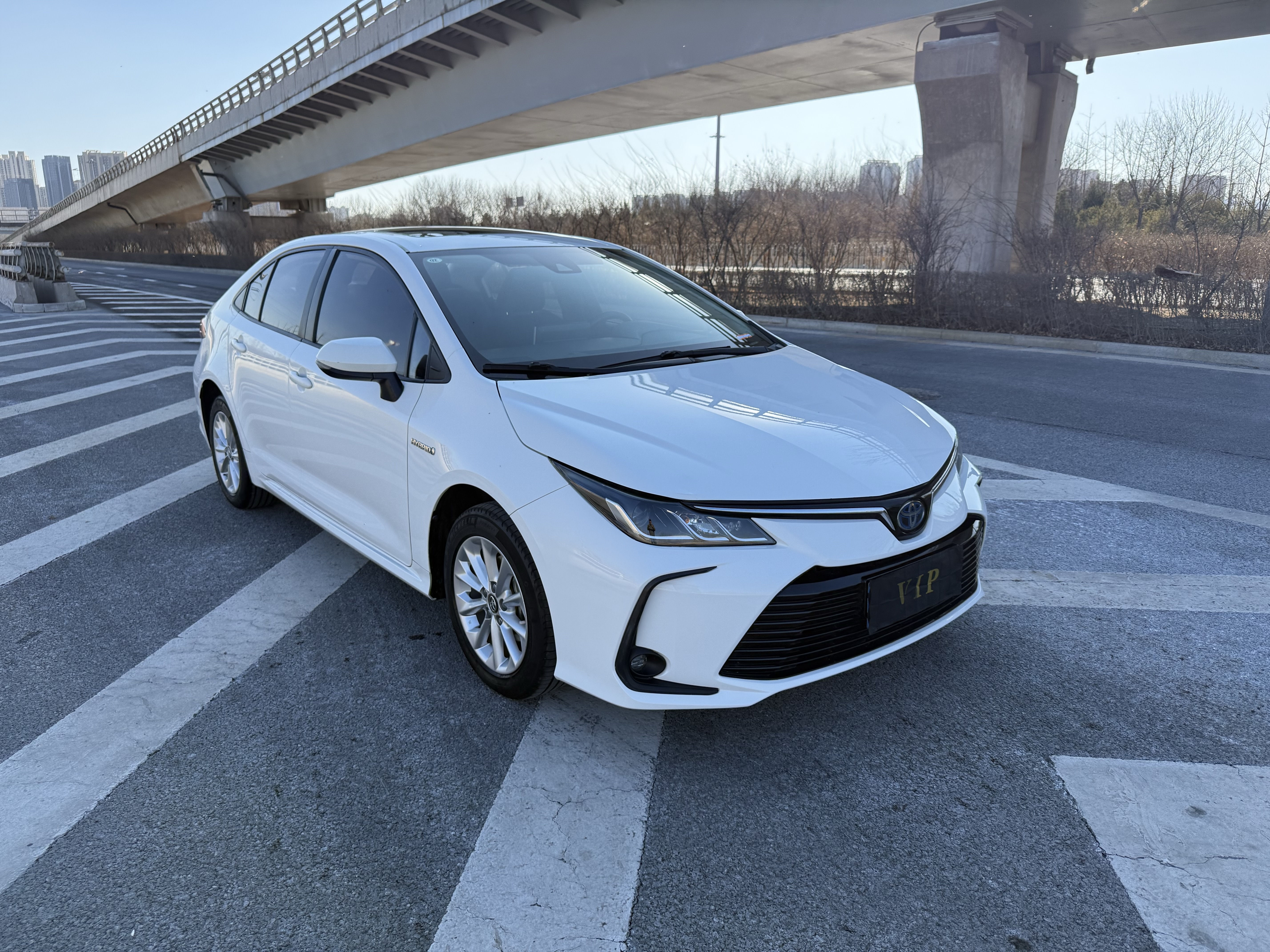 Corolla 2020 car image #3