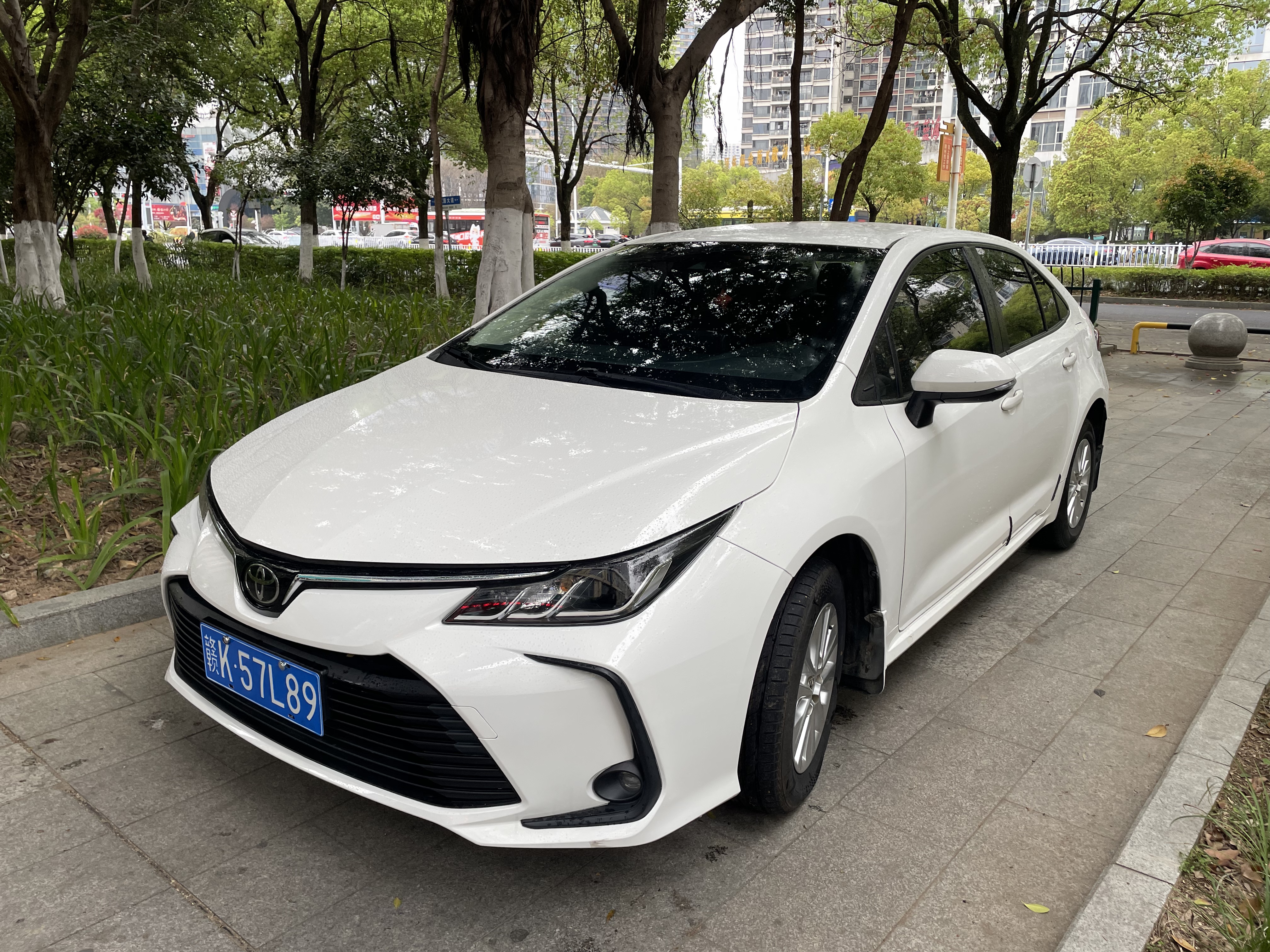 Corolla 2021 car image #3