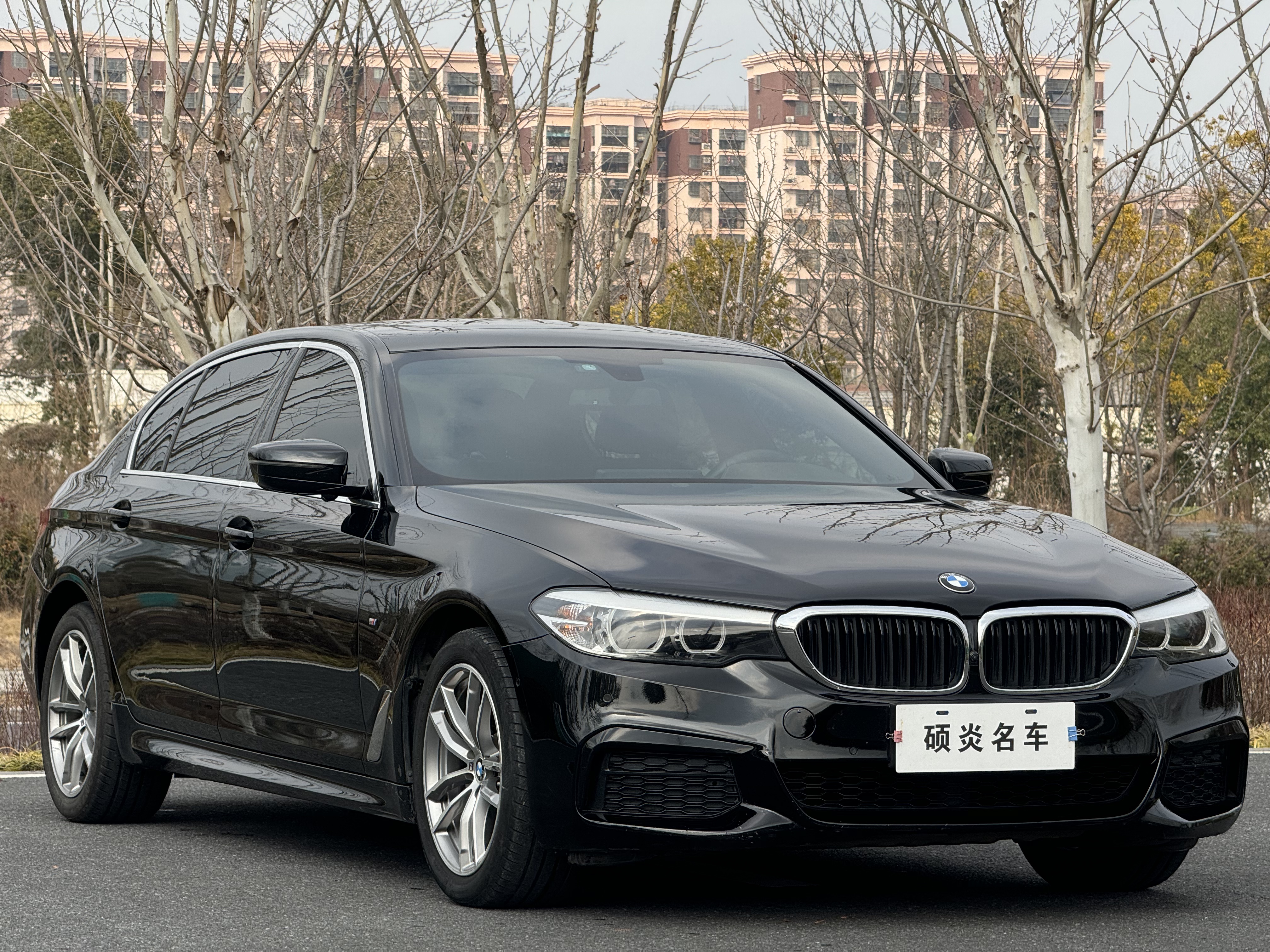 BMW 5 Series 2019 #3 BMW 5 Series 2019 car image #3