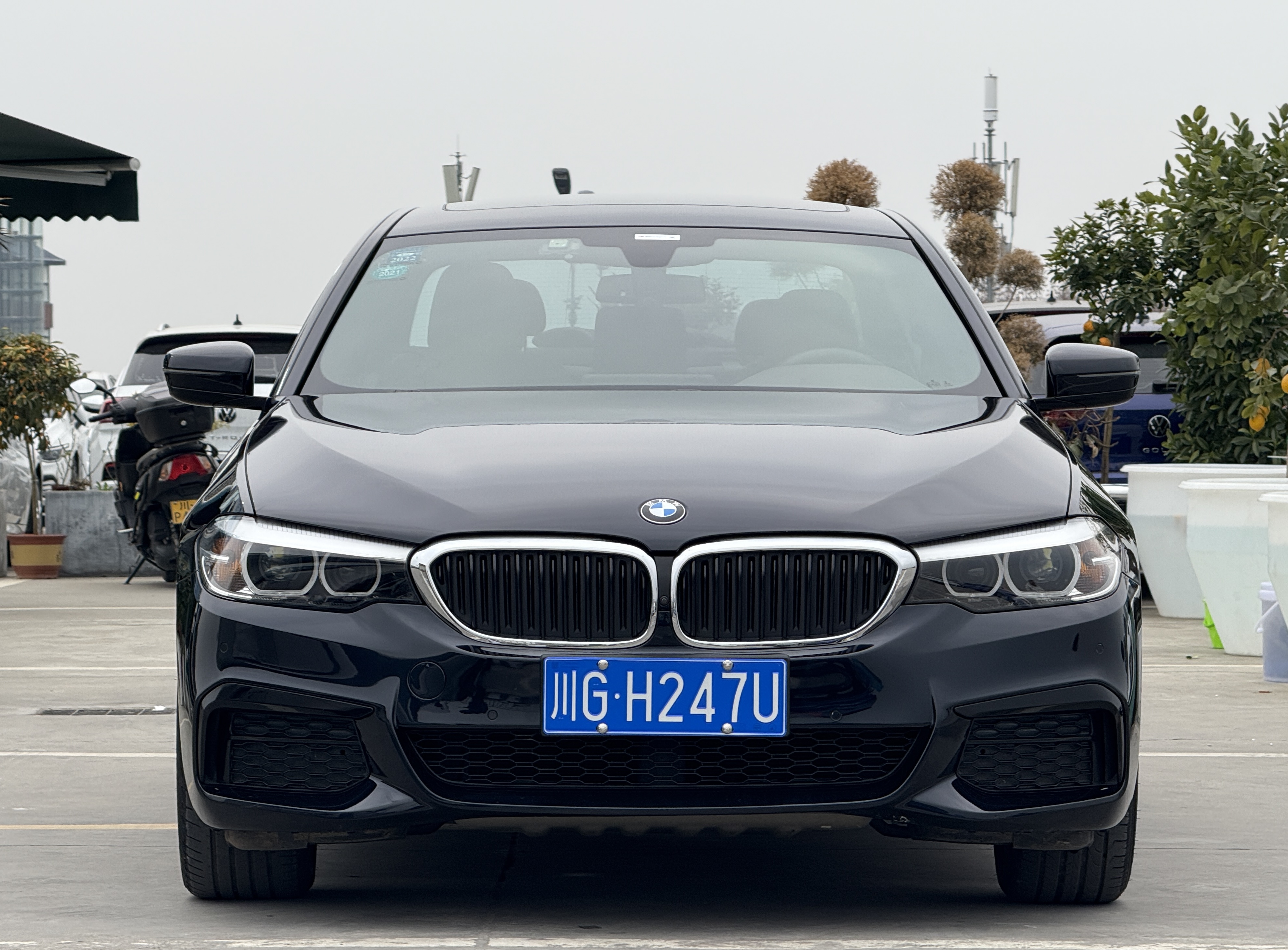 BMW 5 Series 2020 car image #3