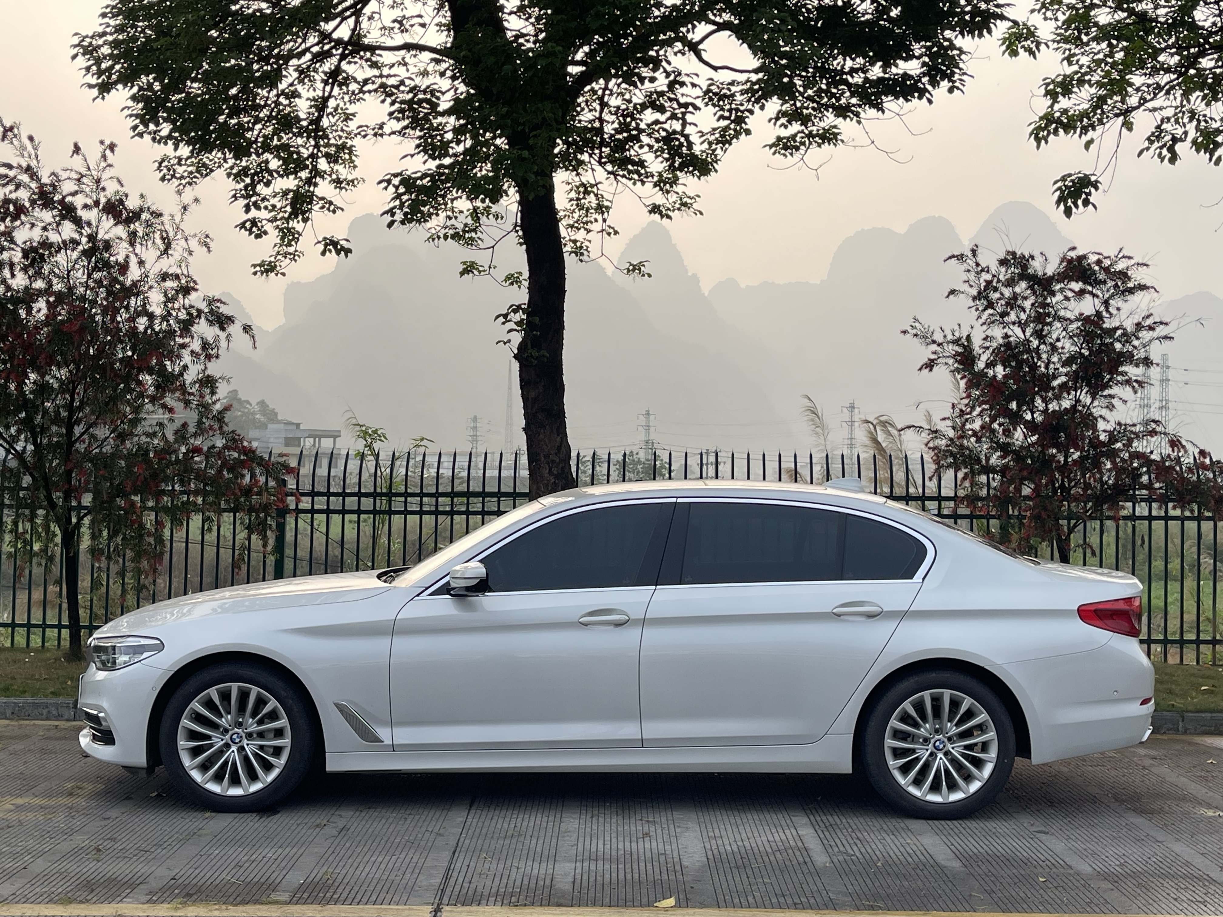 BMW 5 Series 2020 car image #3