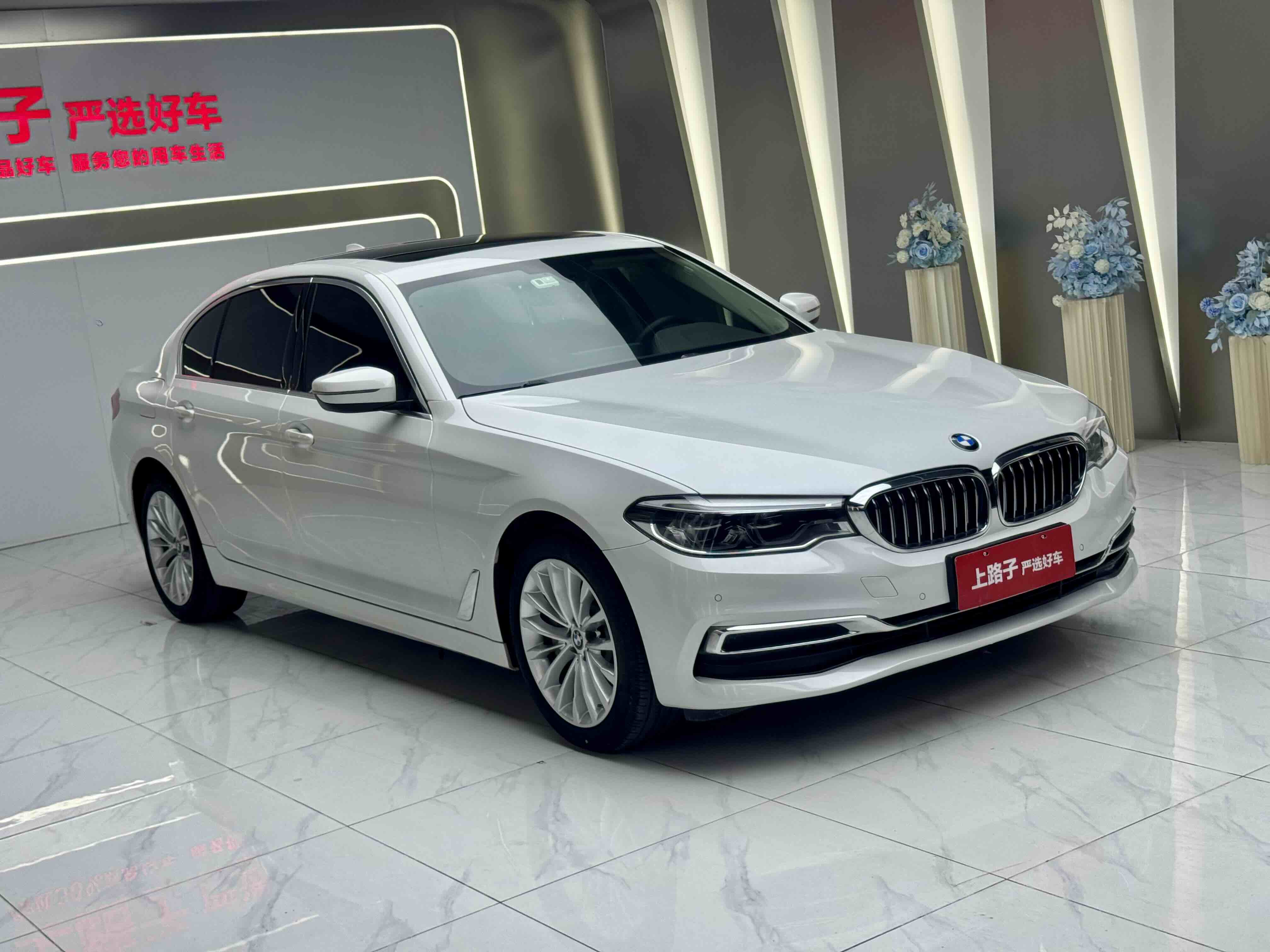 BMW 5 Series 2020 car image #3