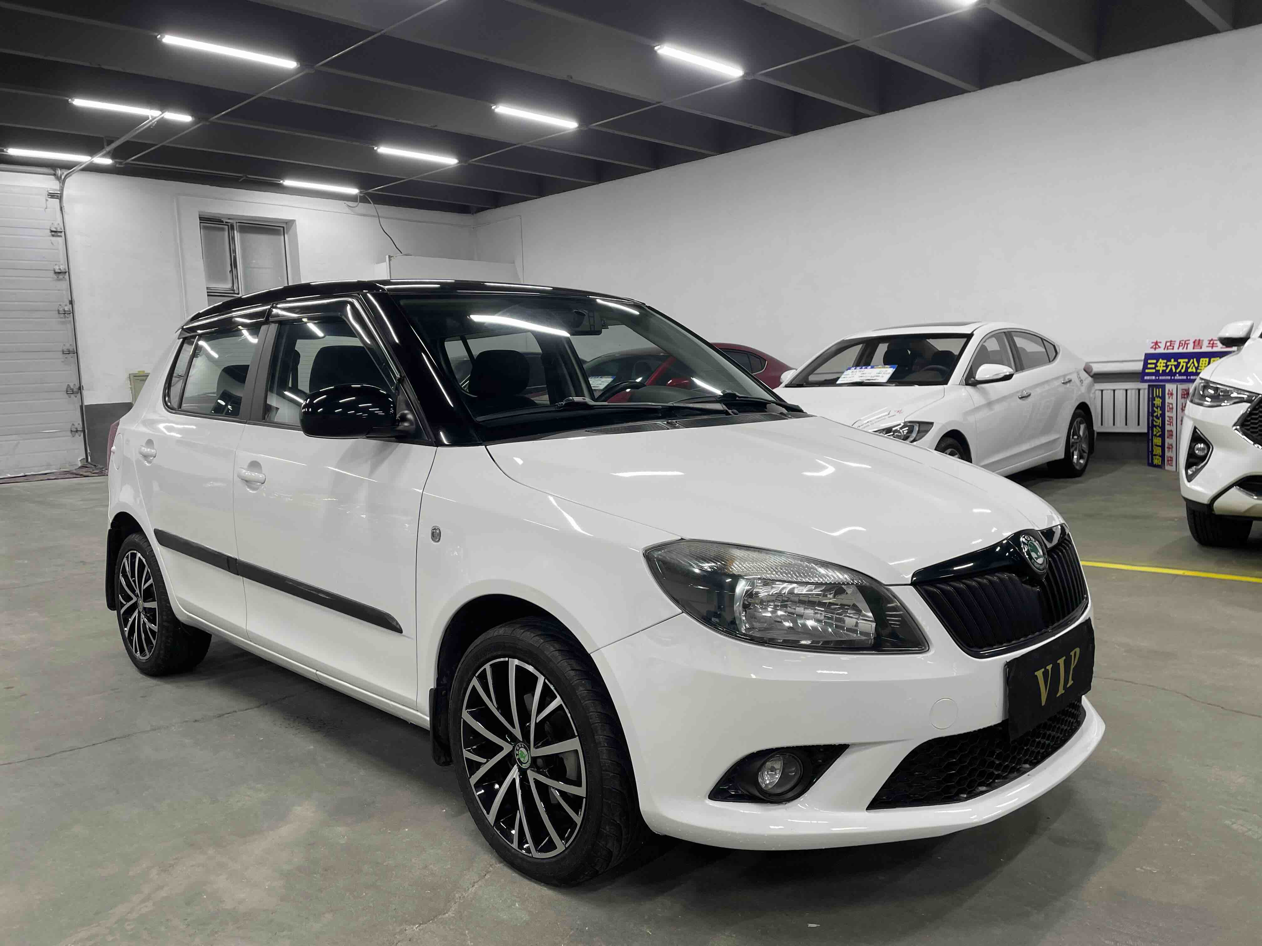 Skoda Fabia 2013 immagine di auto #3