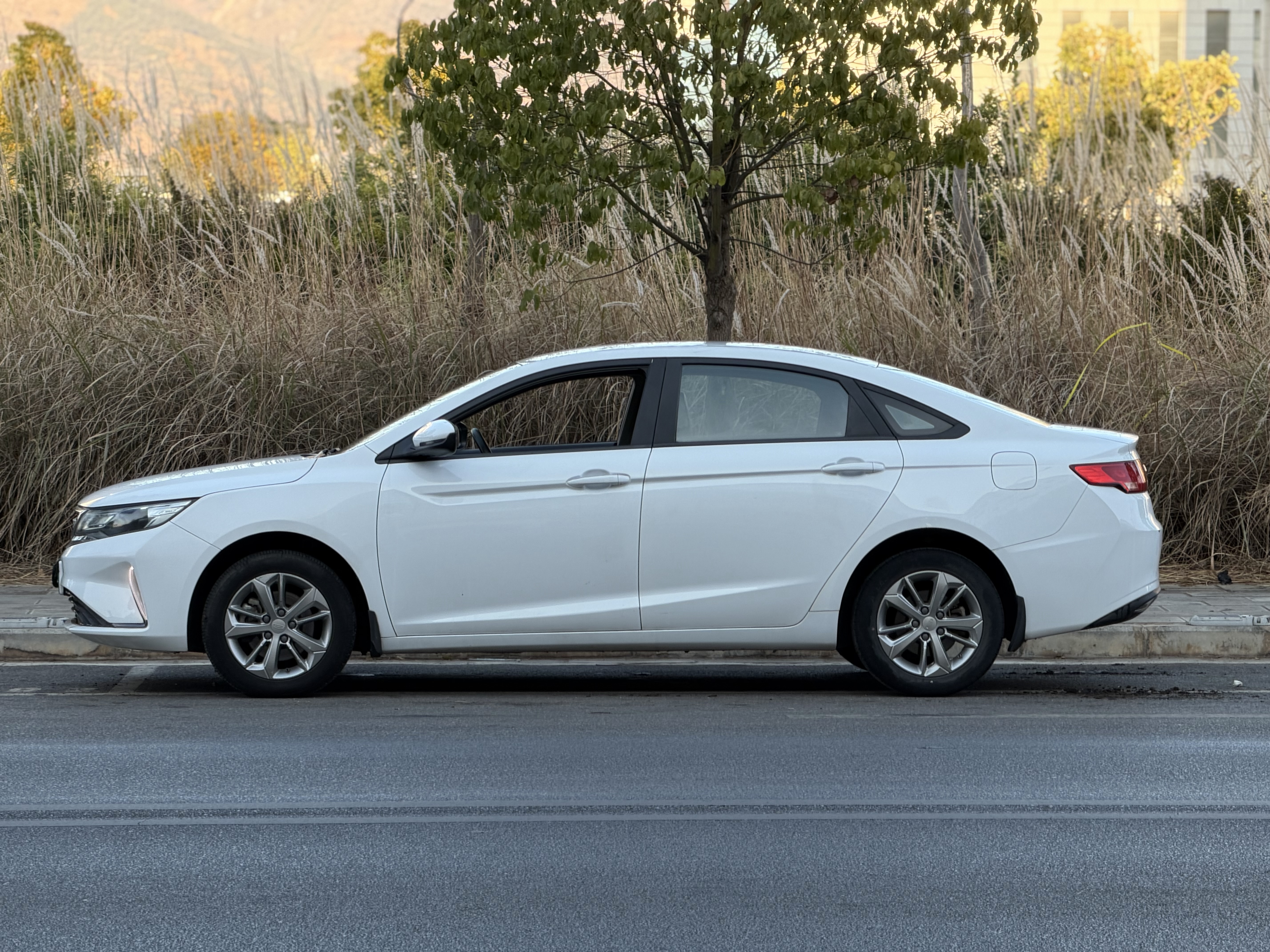Emgrand GL 2020 #3 Emgrand GL 2020 car image #3