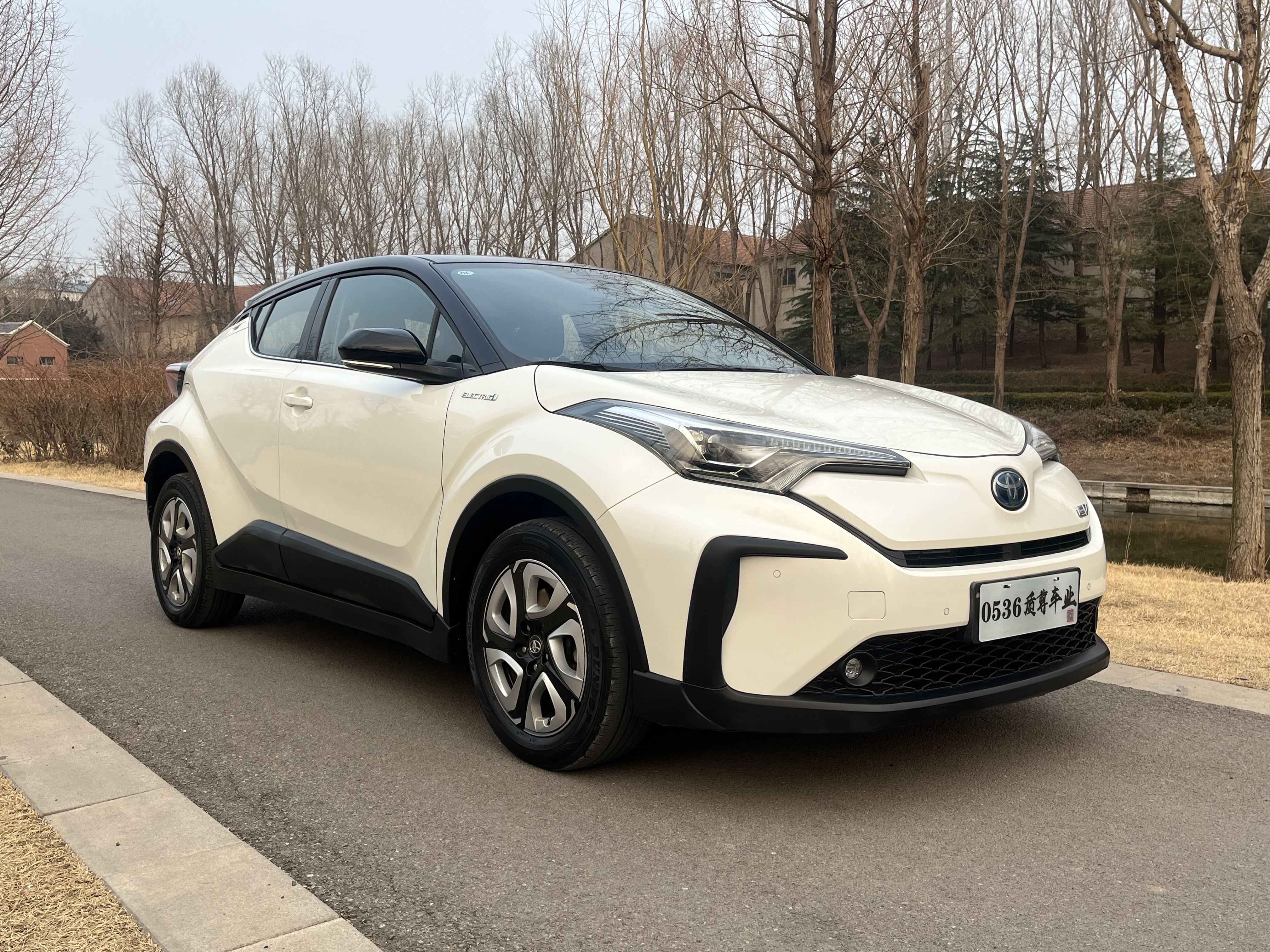 Toyota C-HR EV 2020 immagine di auto #3