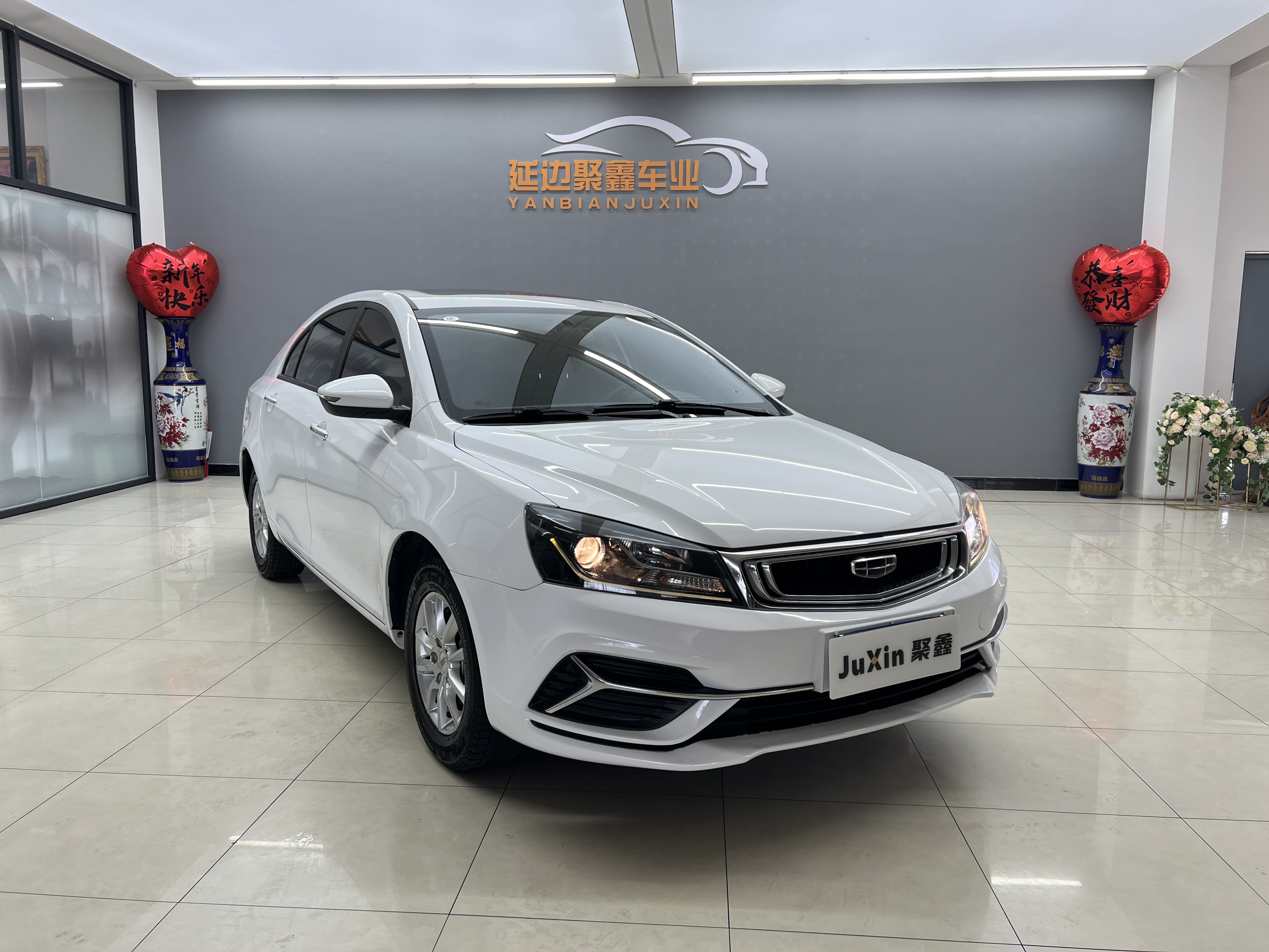 Emgrand 2020 #3 Emgrand 2020 car image #3