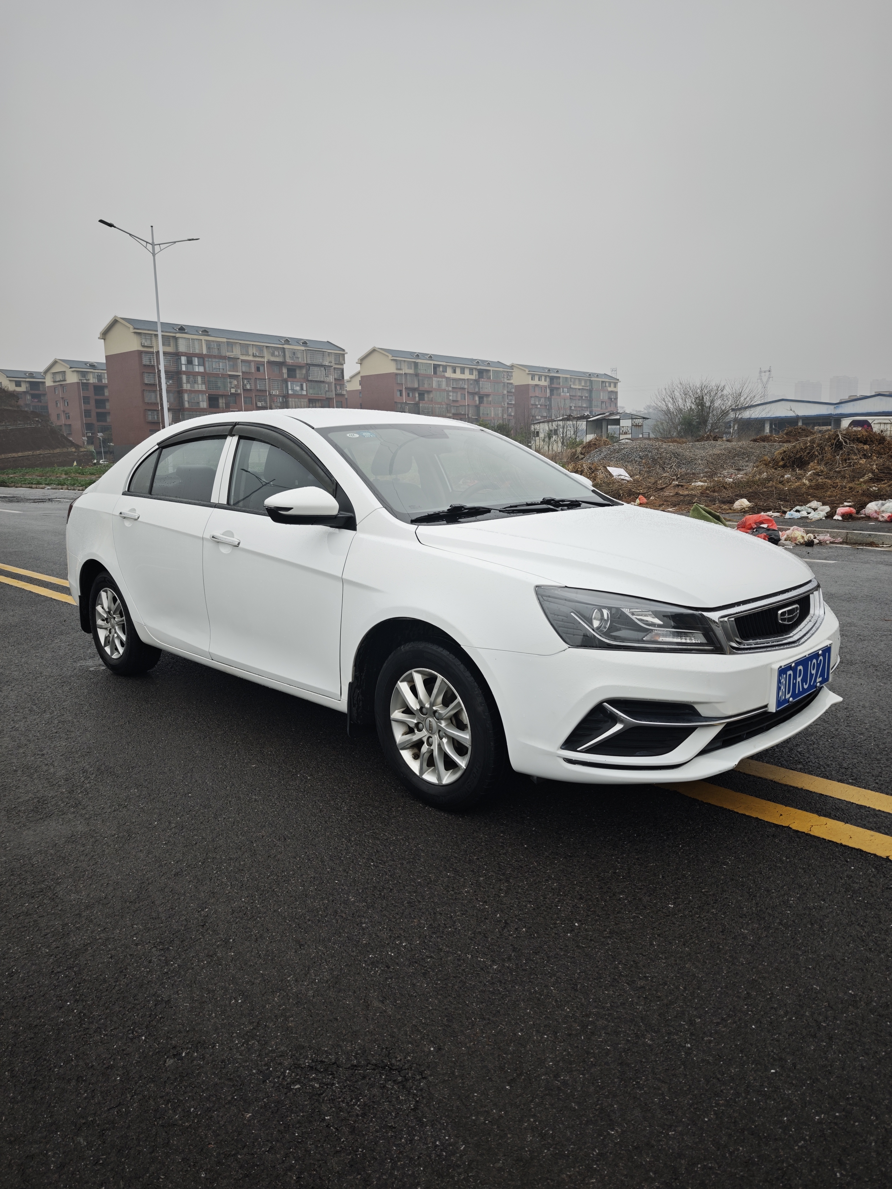 Emgrand 2020 #3 Emgrand 2020 car image #3