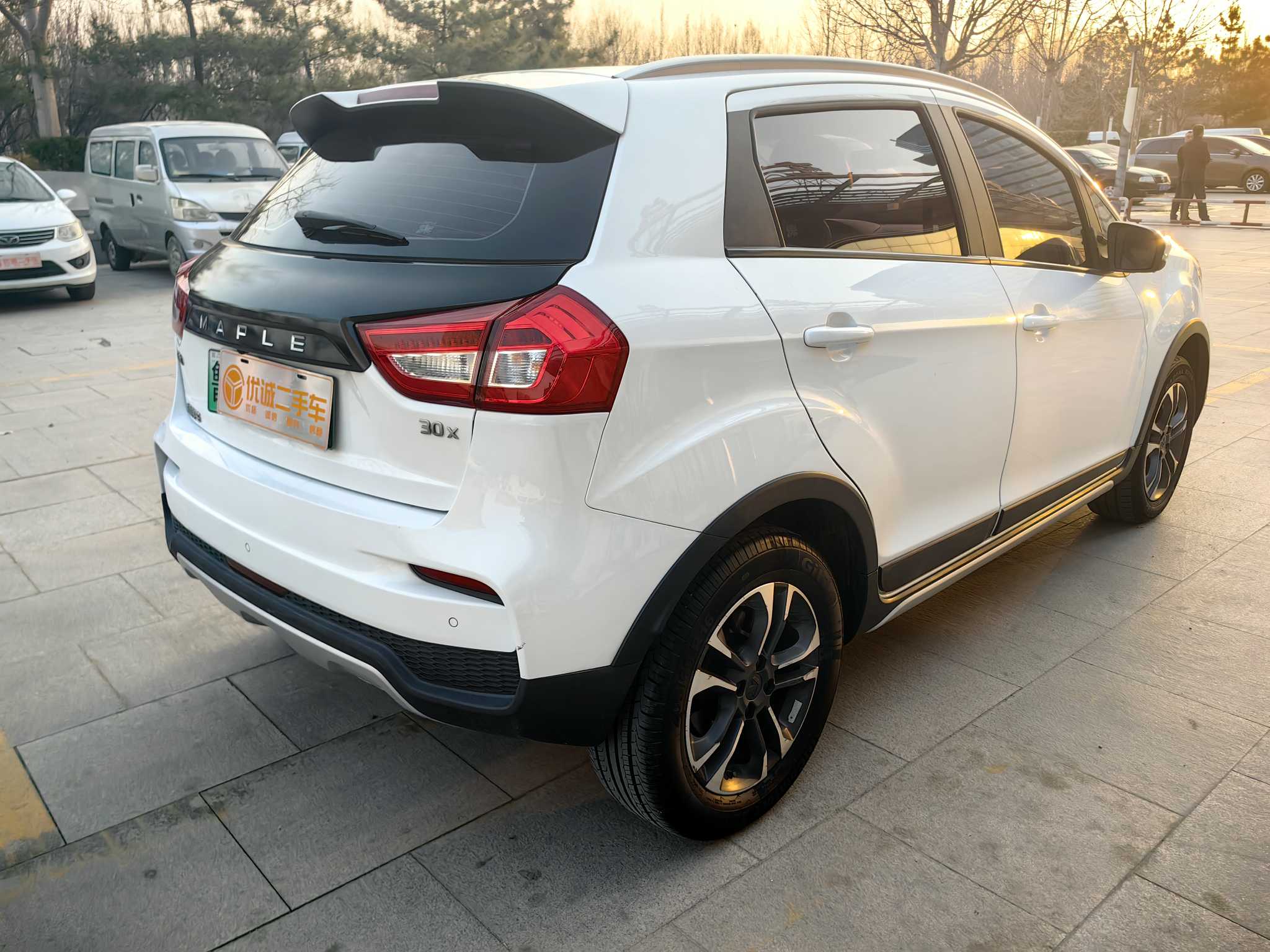 睿蓝汽车 枫叶30X 2020 汽车图片 #3