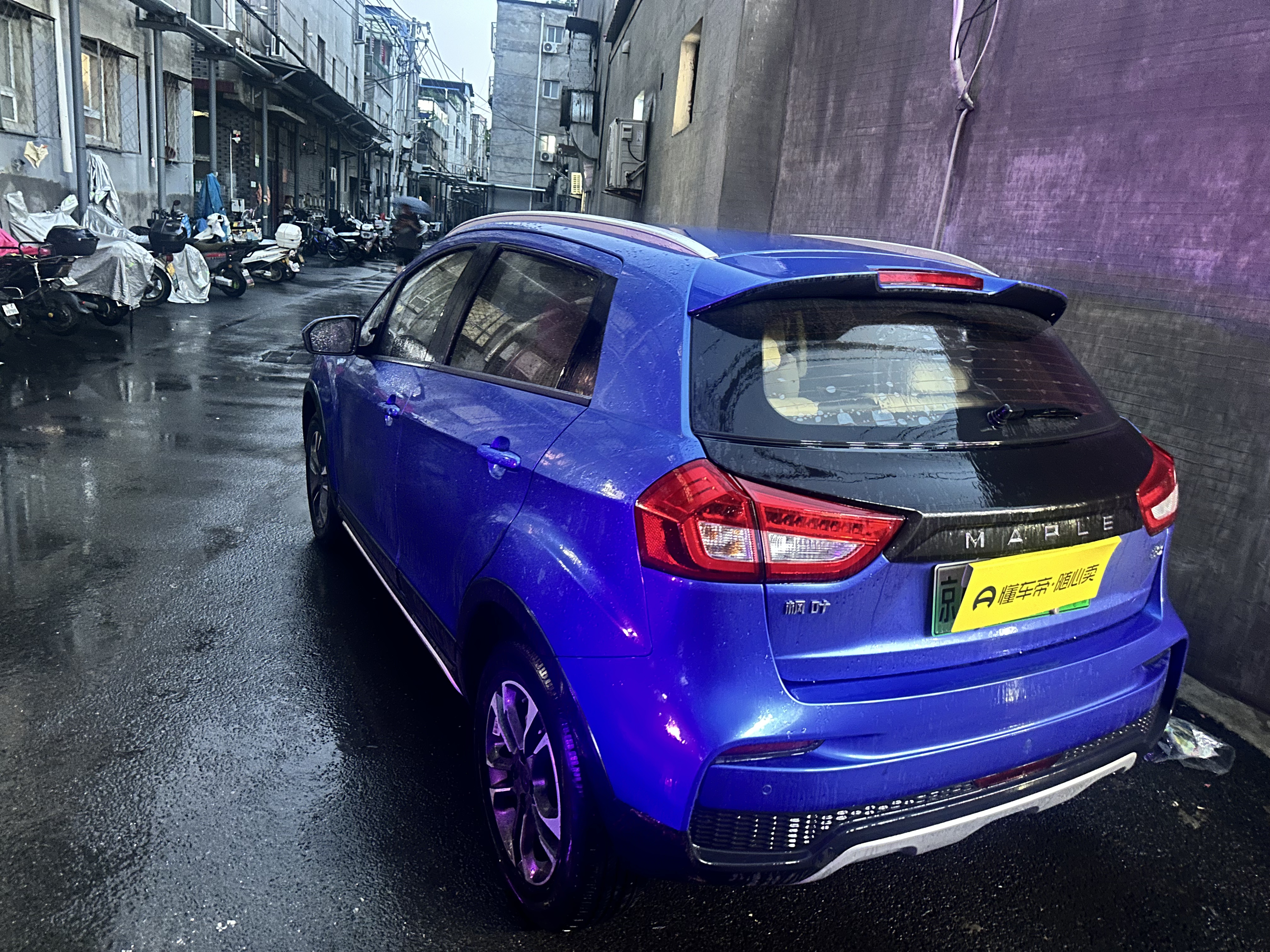 睿蓝汽车 枫叶30X 2020 汽车图片 #3