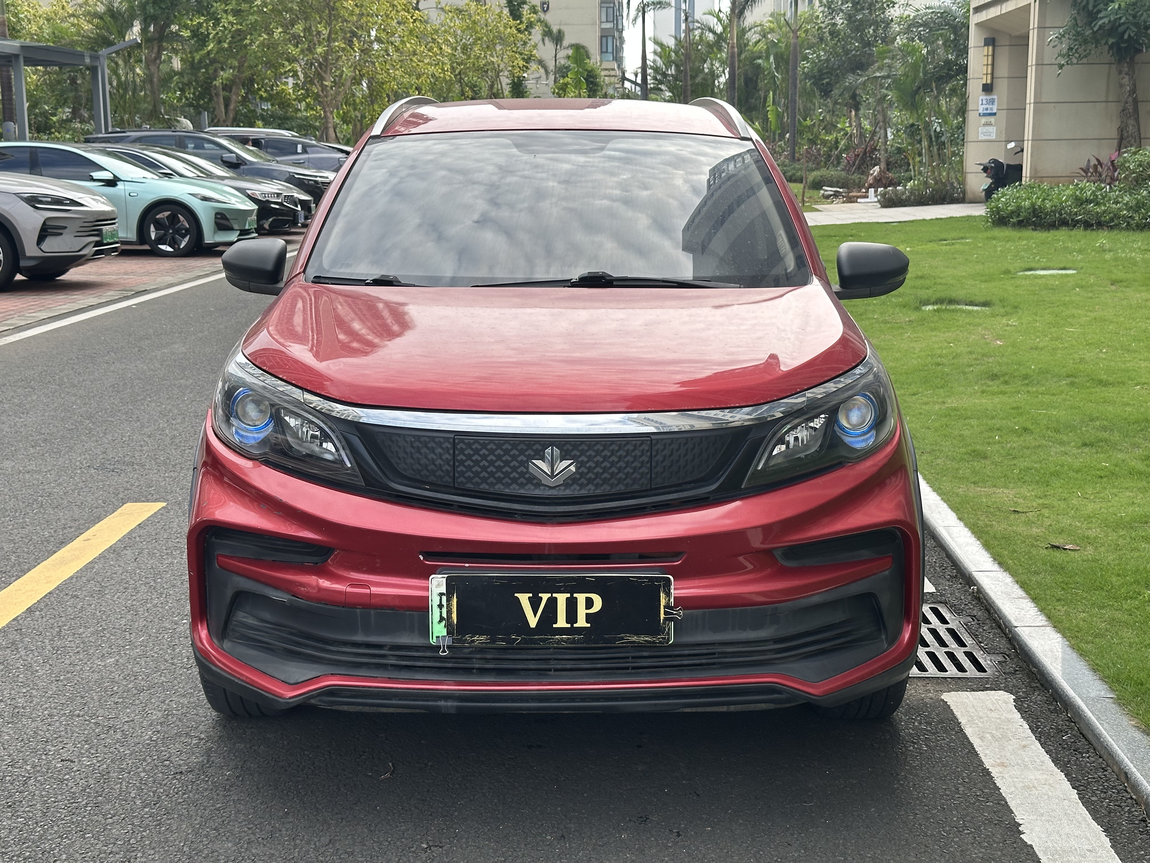 睿蓝汽车 枫叶30X 2020 汽车图片 #3