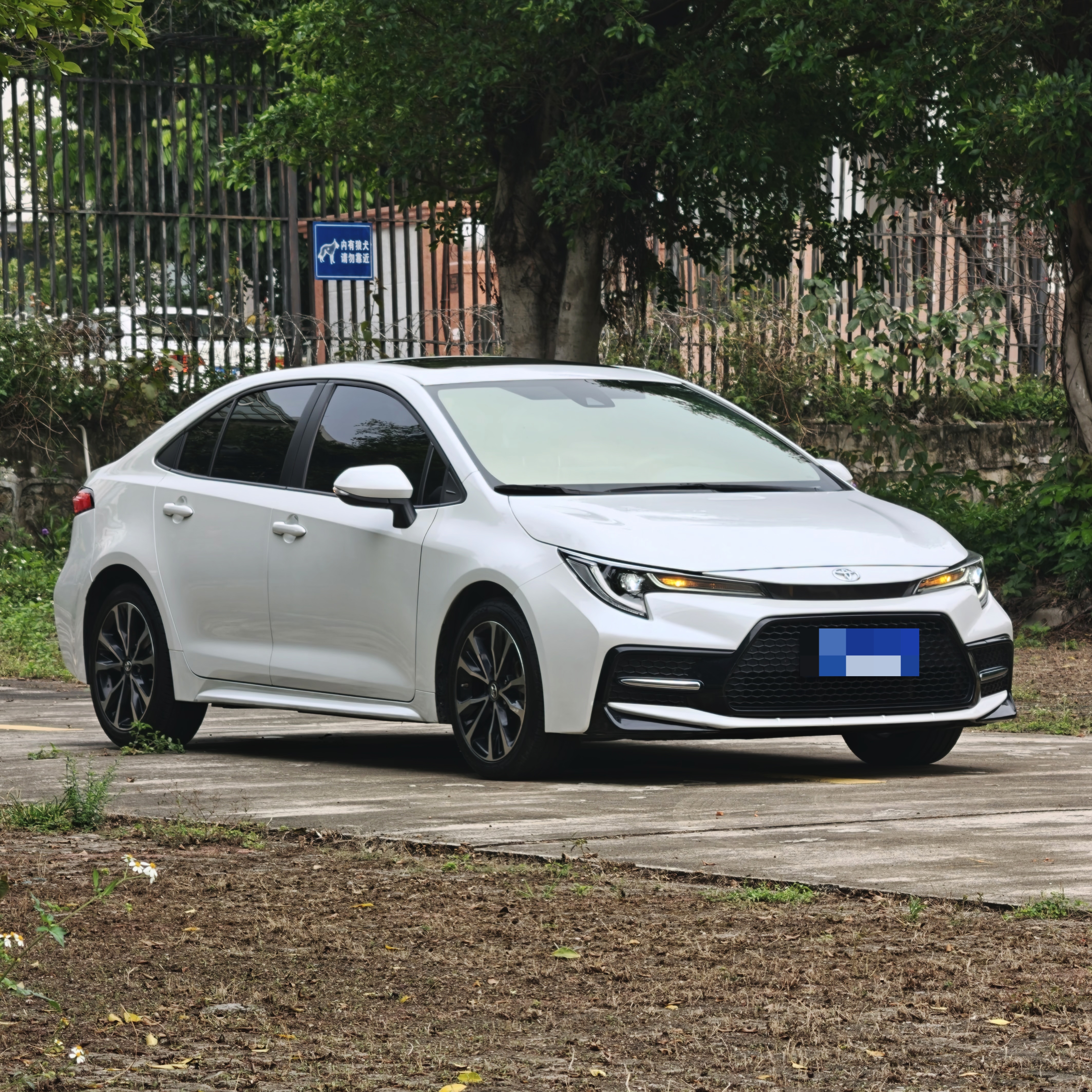 Toyota Levin 2021 car image #3