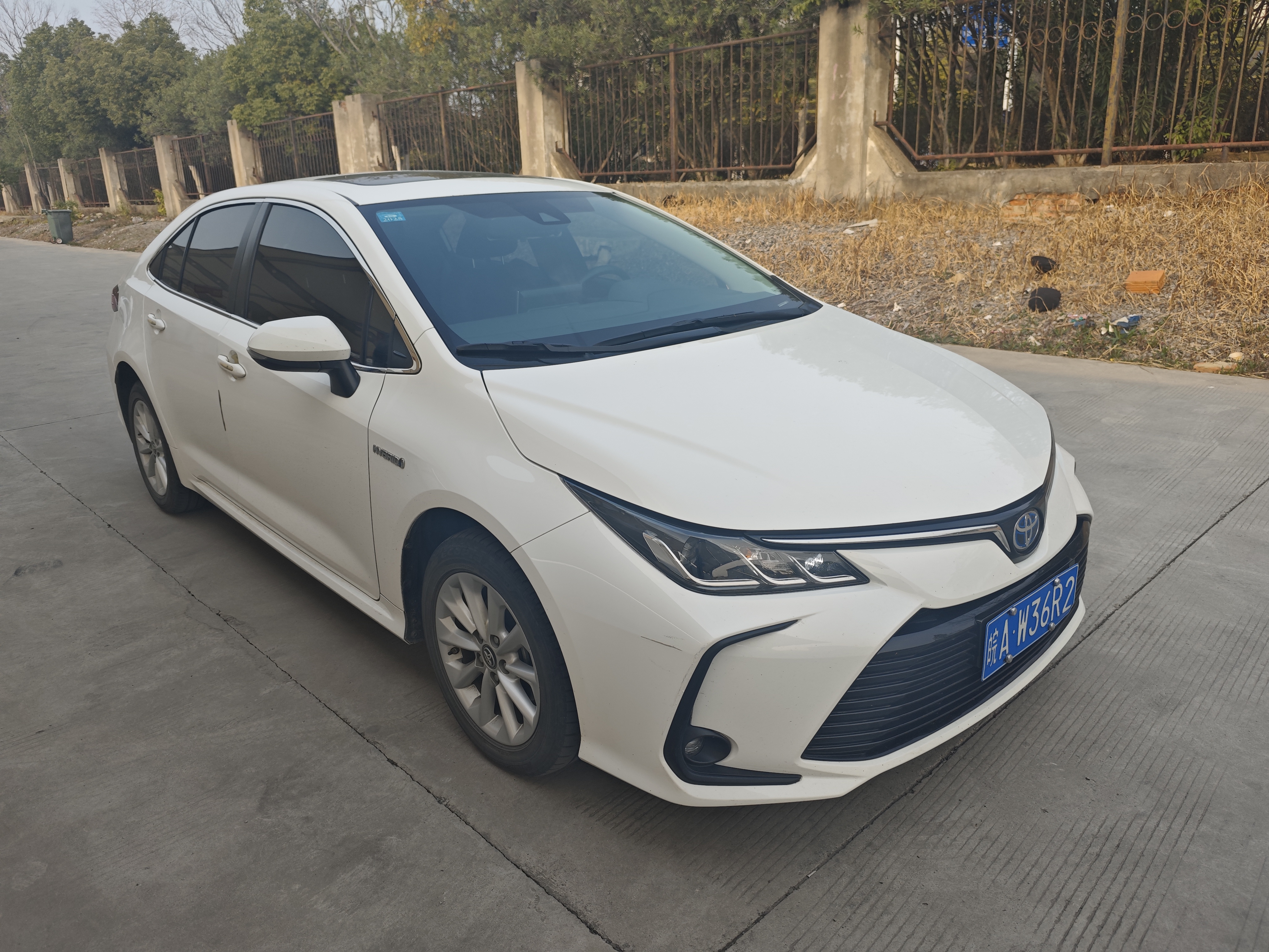 Corolla 2023 immagine di auto #3