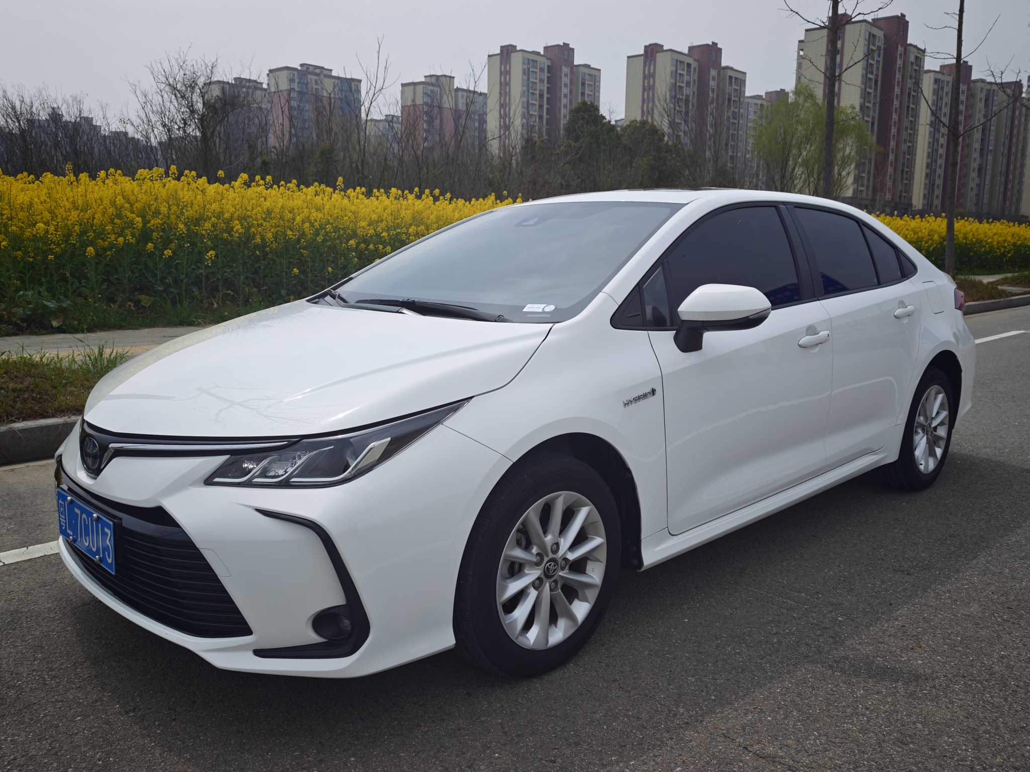 Corolla 2022 #3 Corolla 2022 car image #3