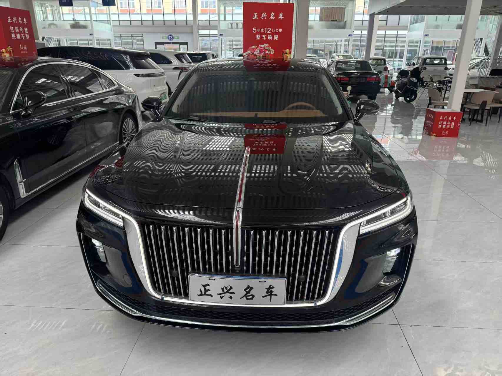 HongQi GuoYao 2021 #3 HongQi GuoYao 2021 car image #3
