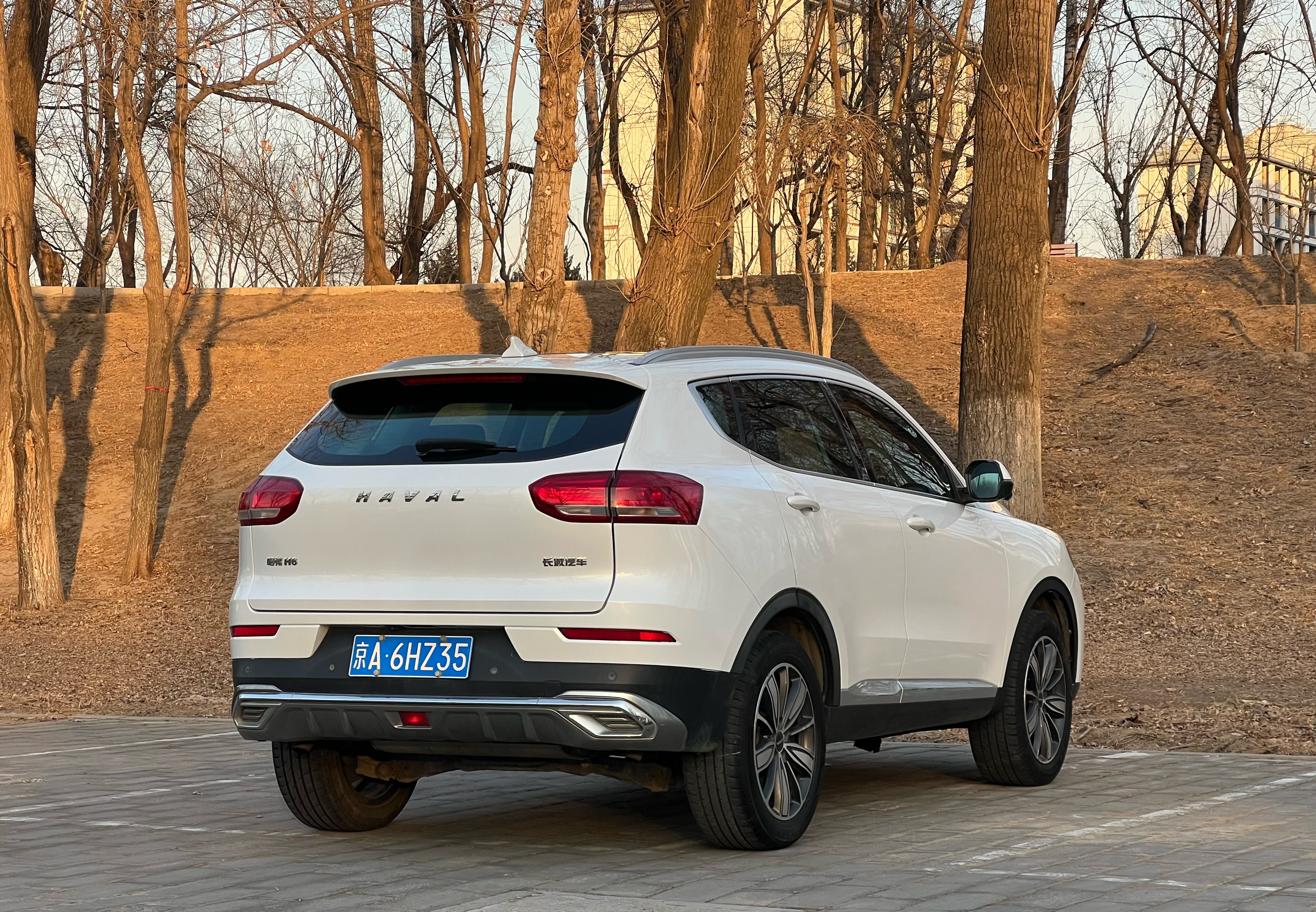 Haval H6 2020 car image #3