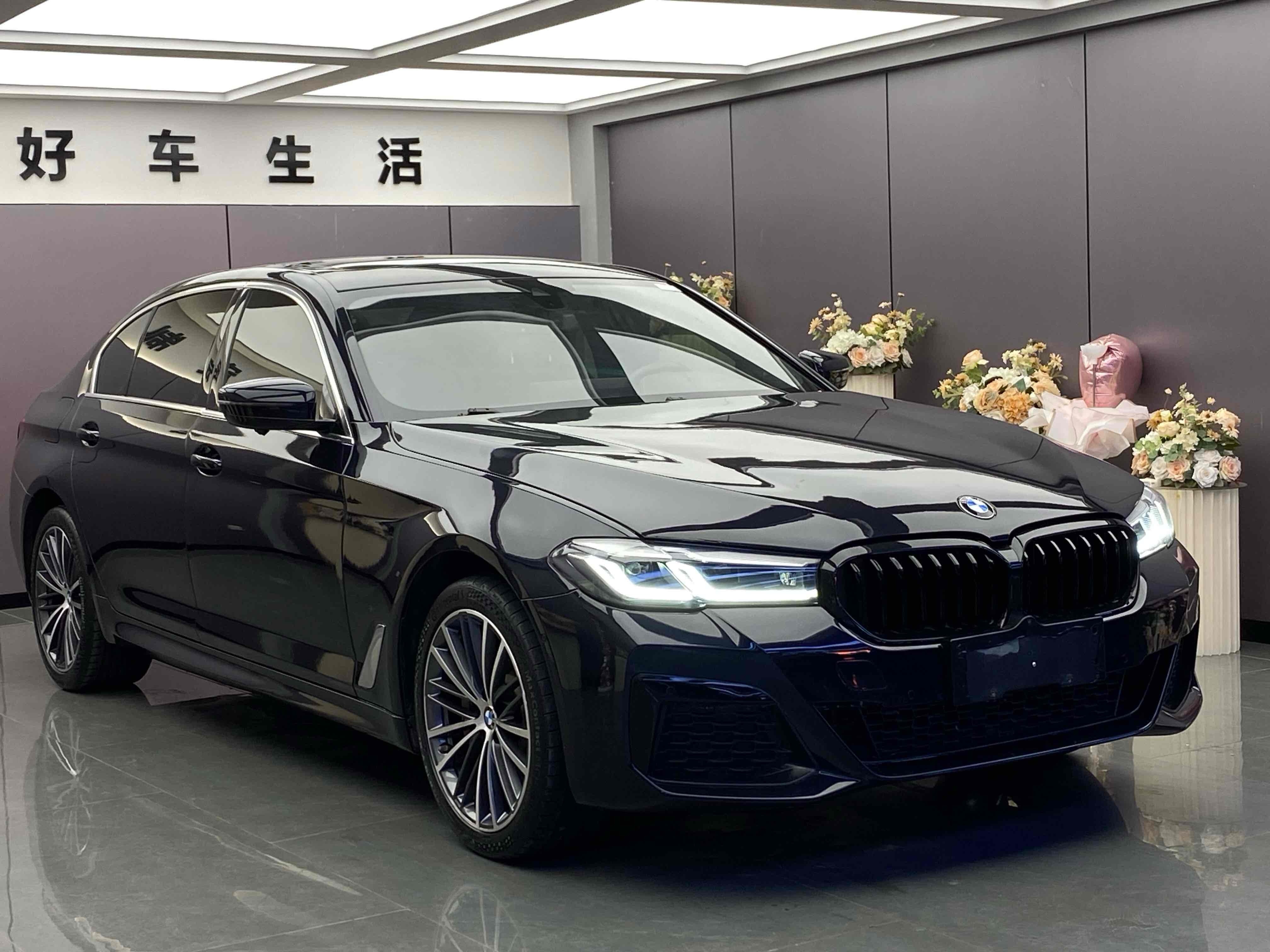 BMW 5 Series 2021 #3 BMW 5 Series 2021 car image #3