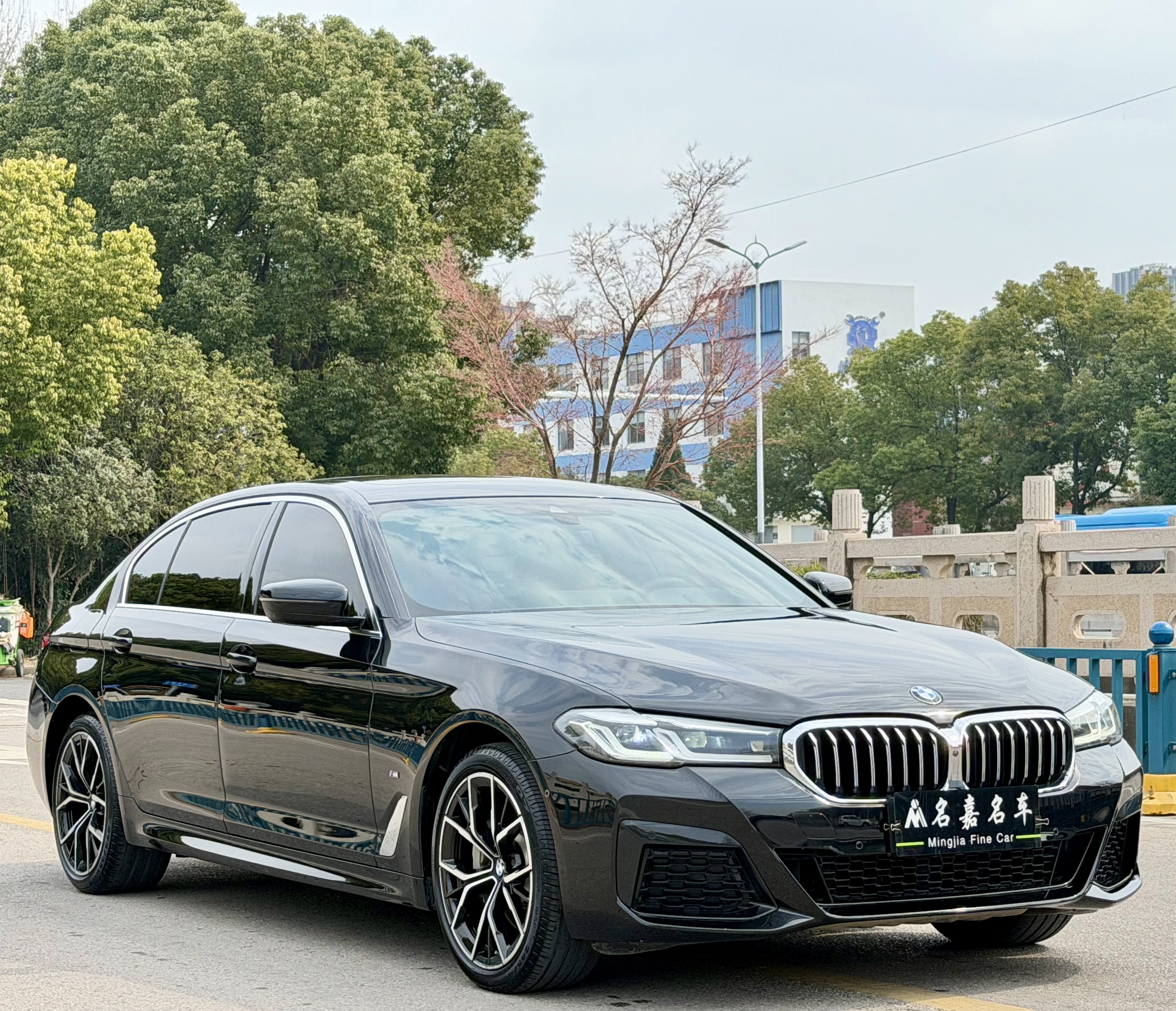 BMW 5 Series 2021 car image #3