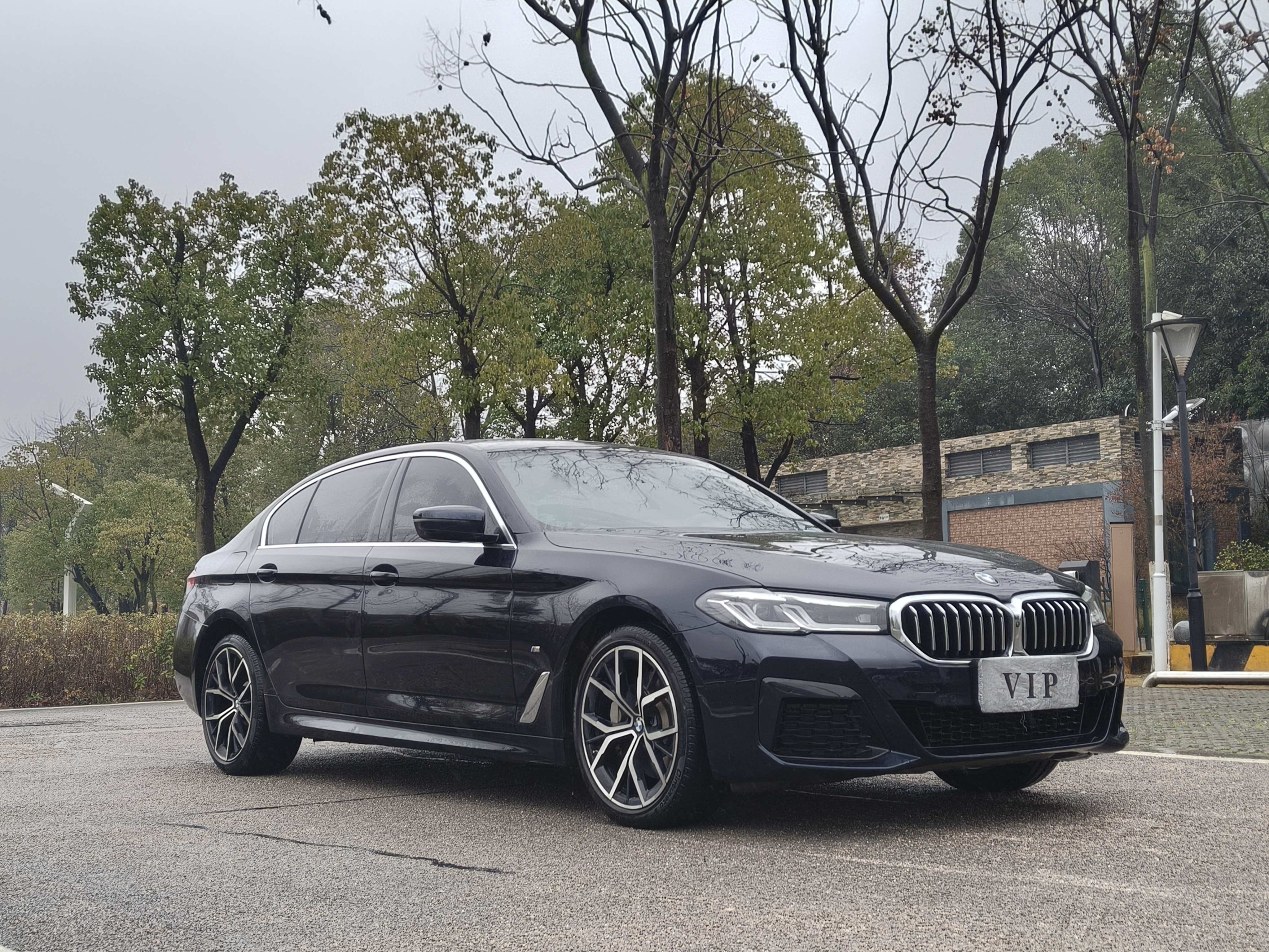 BMW 5 Series 2021 car image #3