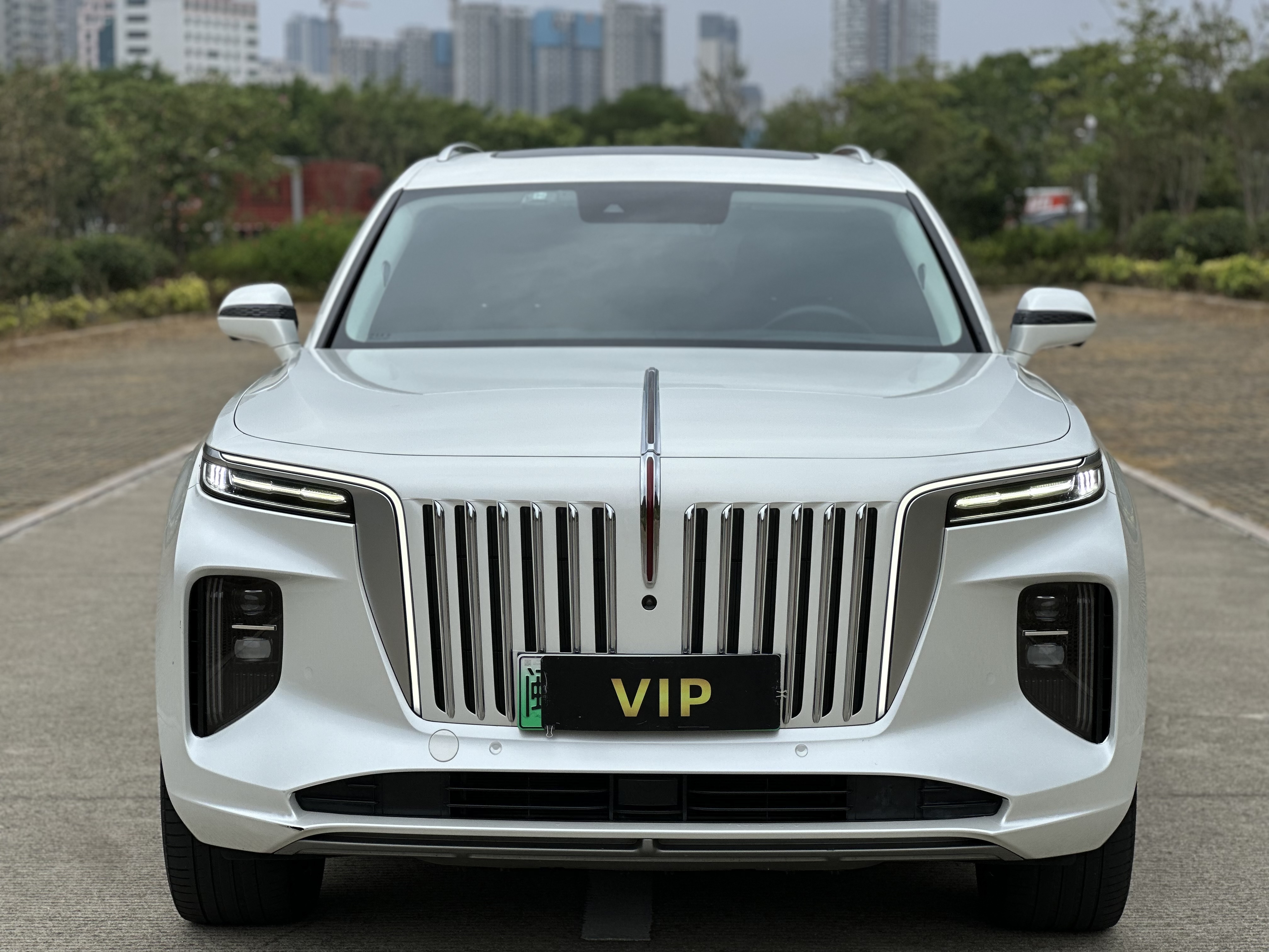 HongQi E-HS9 2021 #3 HongQi E-HS9 2021 immagine di auto #3