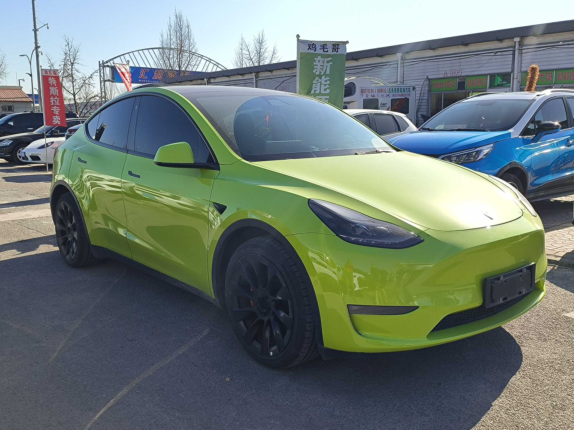 Tesla Model Y 2021 #3 Tesla Model Y 2021 car image #3