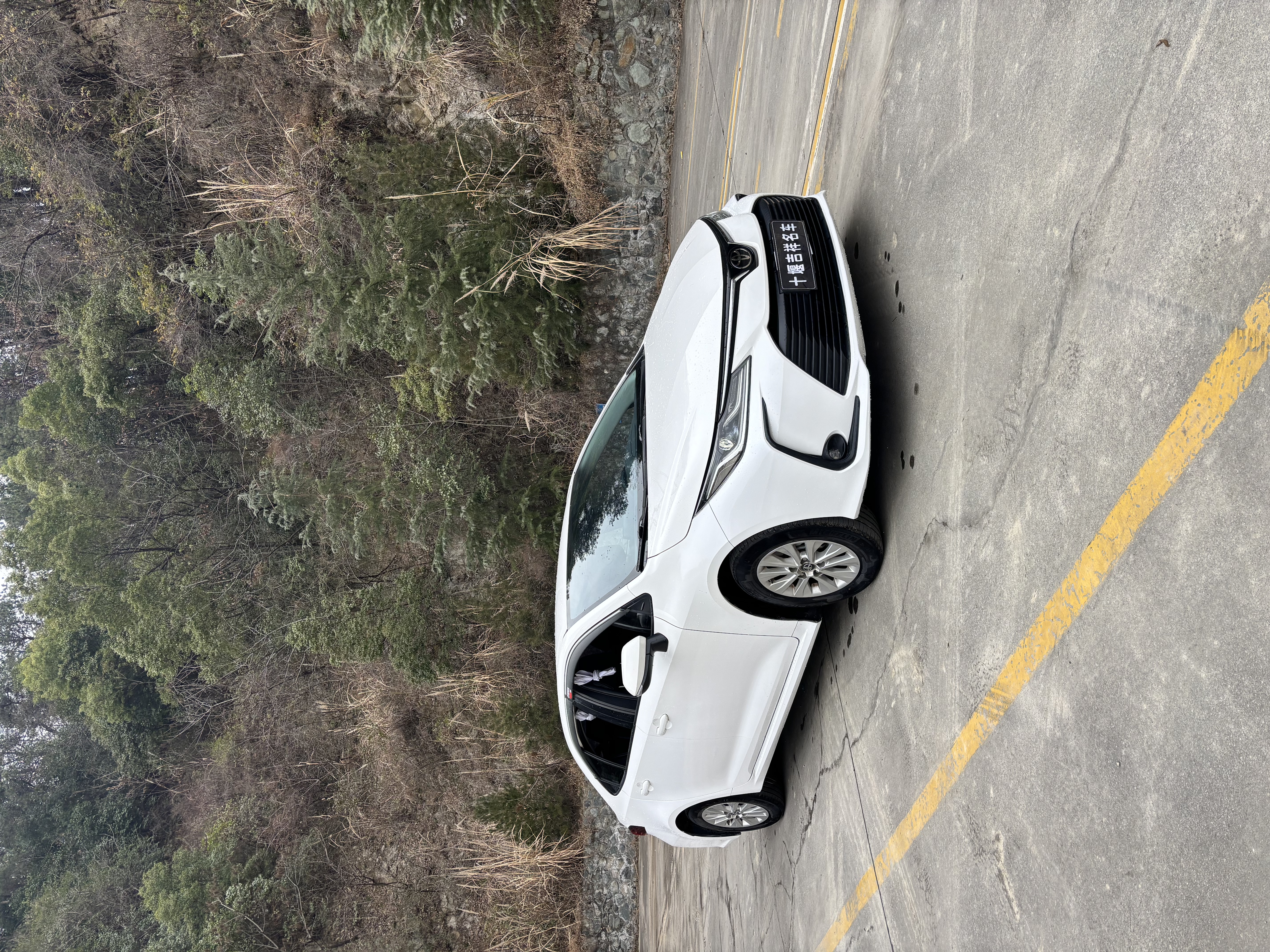 Toyota Corolla 2021 #3 Toyota Corolla 2021 car image #3