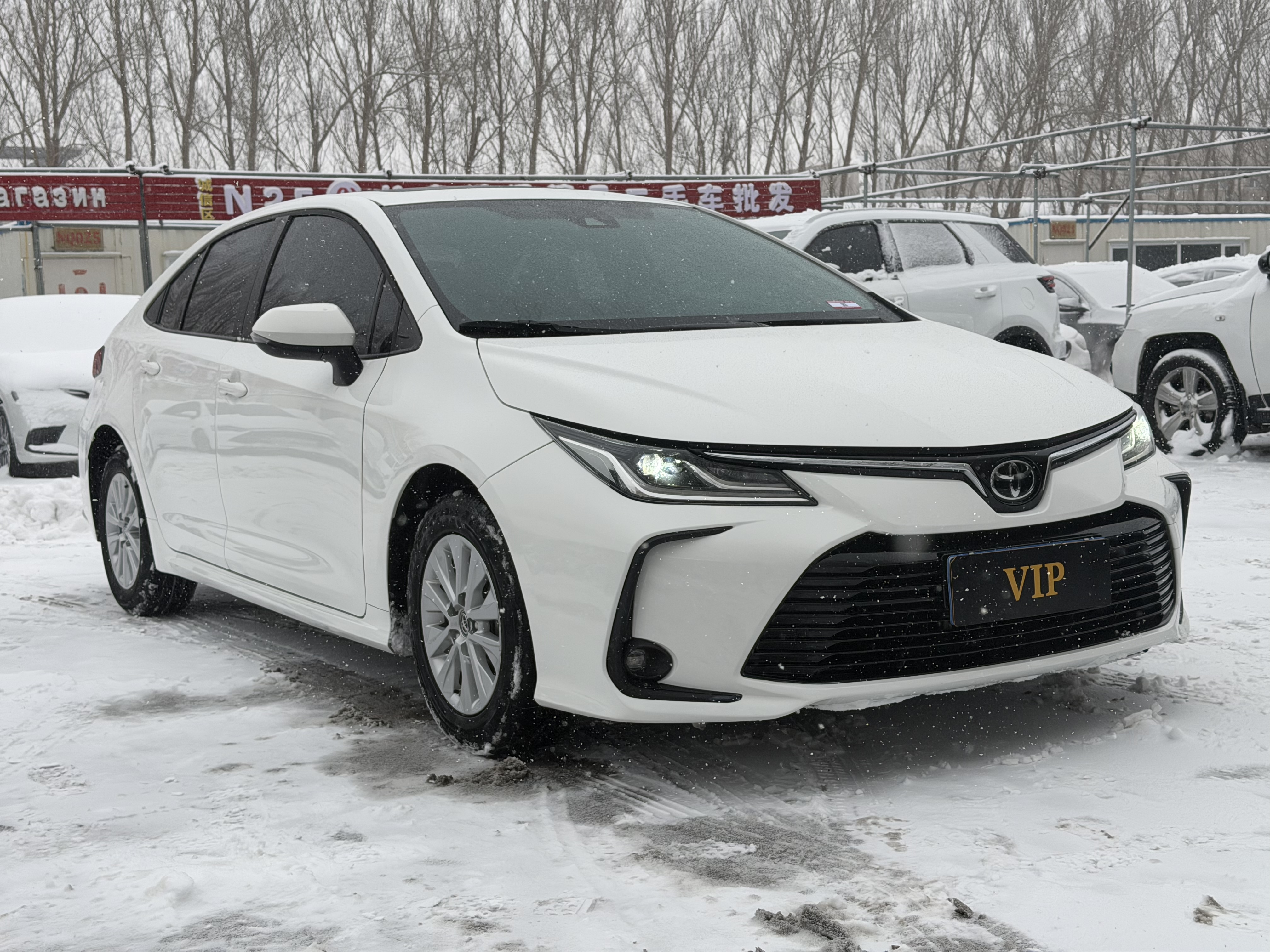Toyota Corolla 2023 car image #3