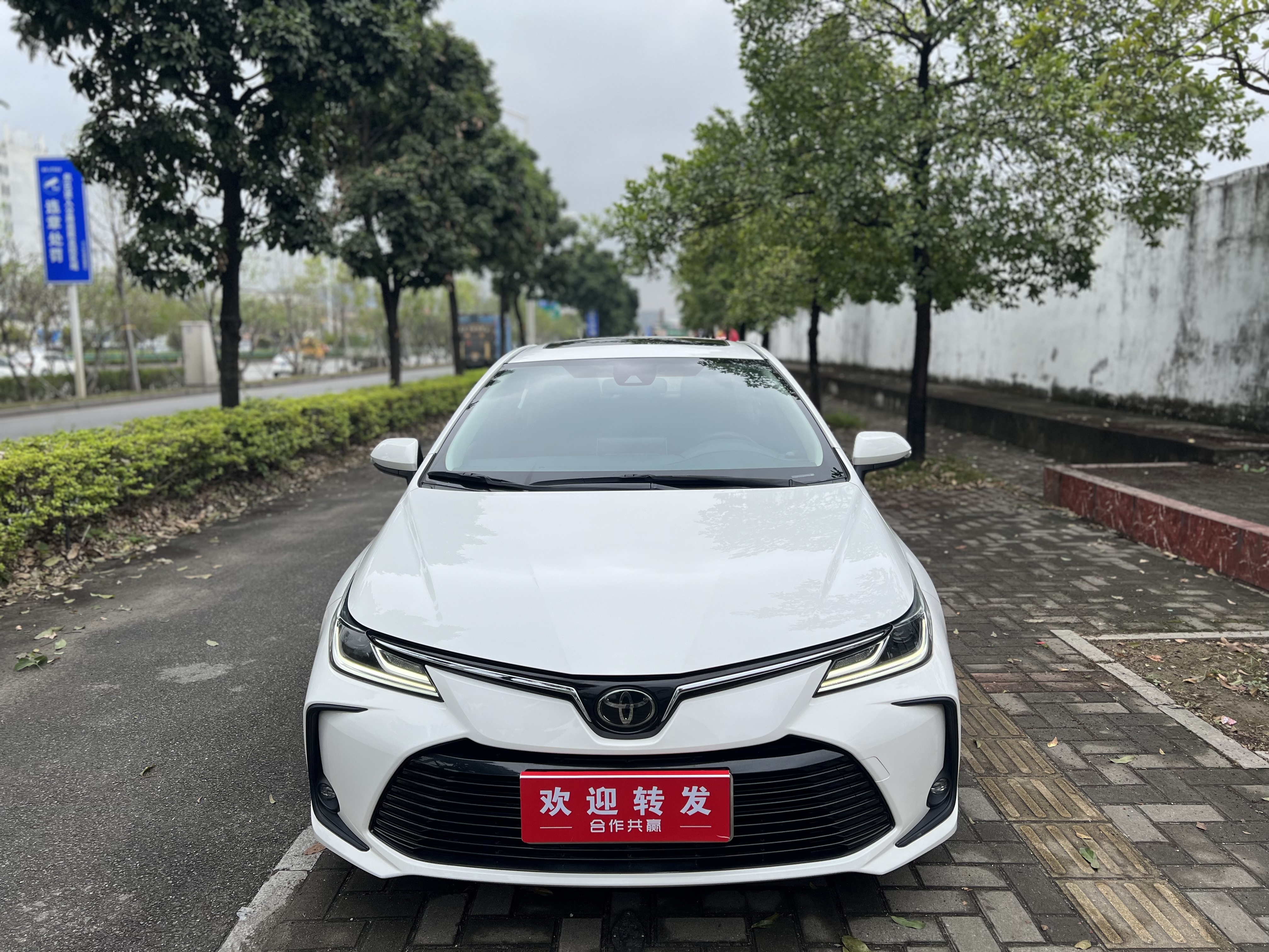 Corolla 2021 car image #3