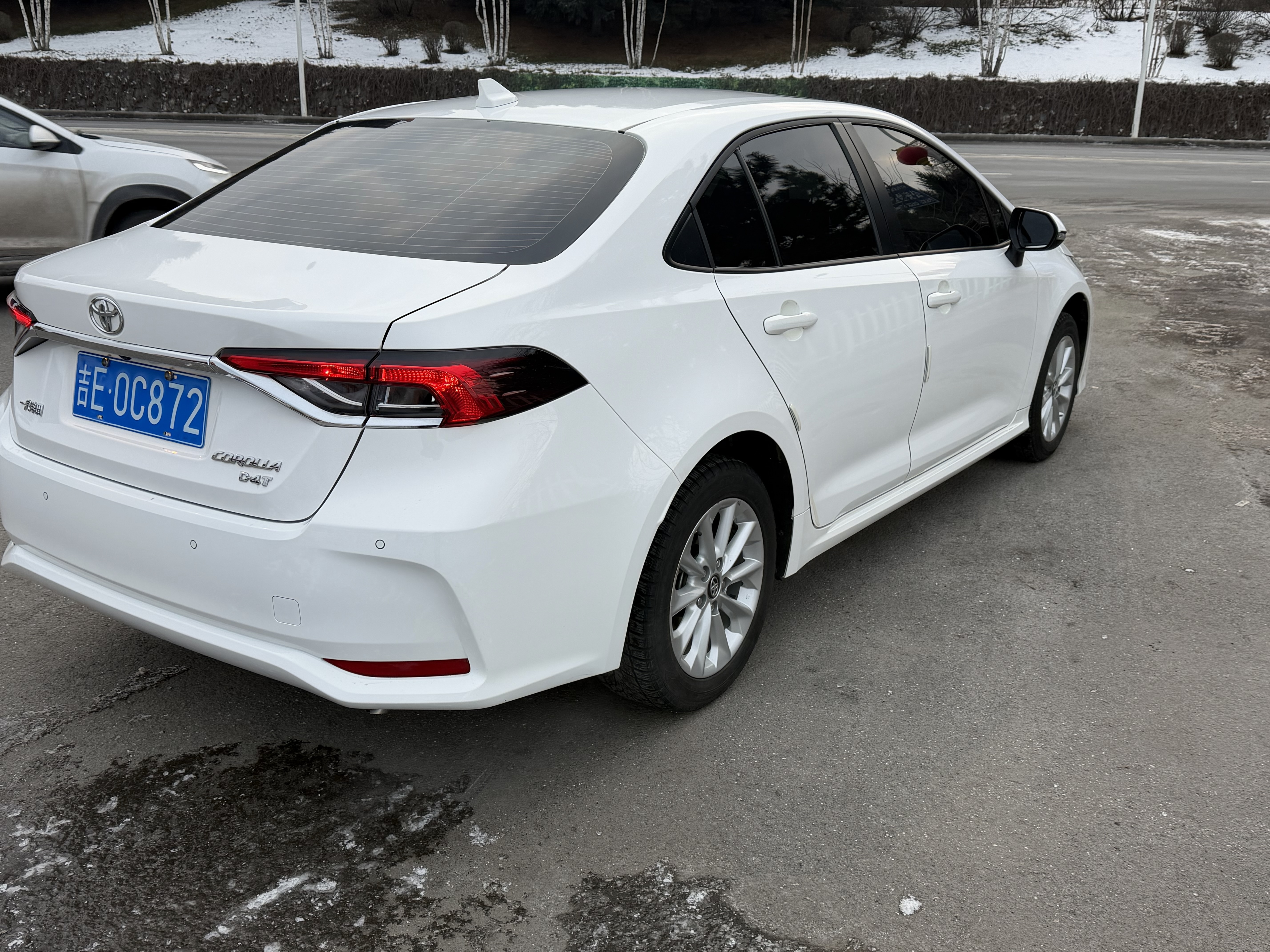 Corolla 2021 car image #3