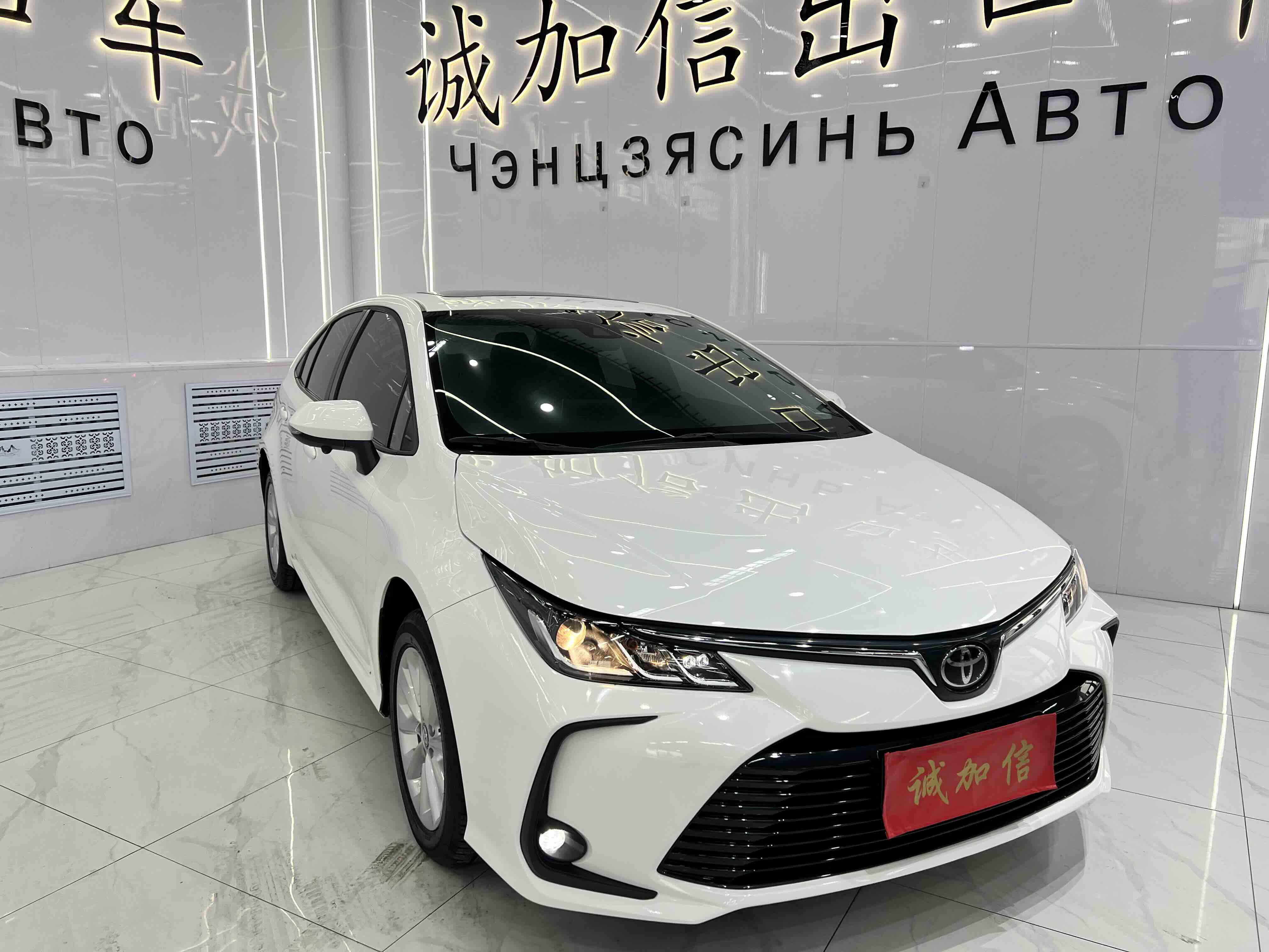 Corolla 2023 car image #3