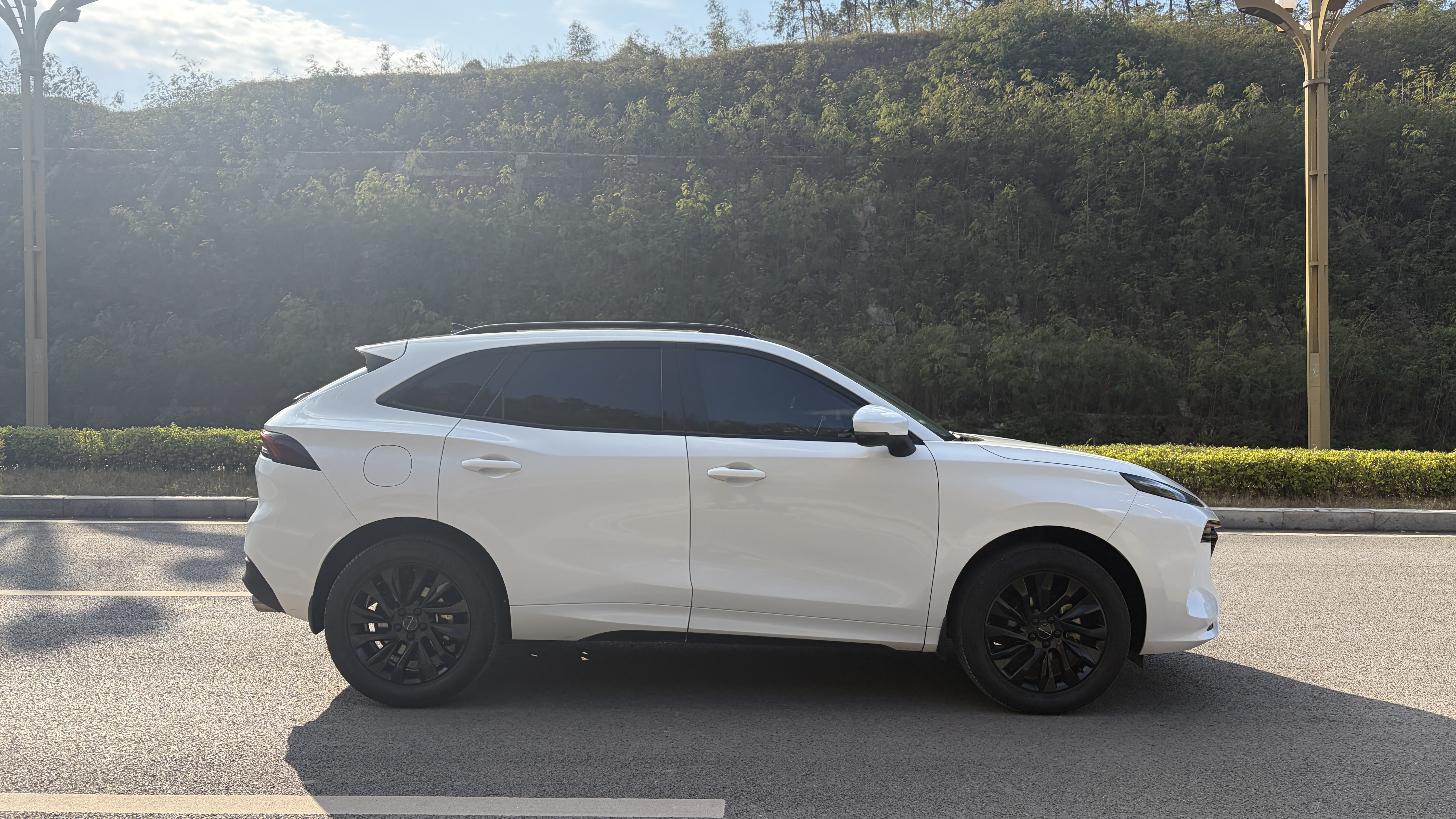 T5 EVO 2021 car image #3