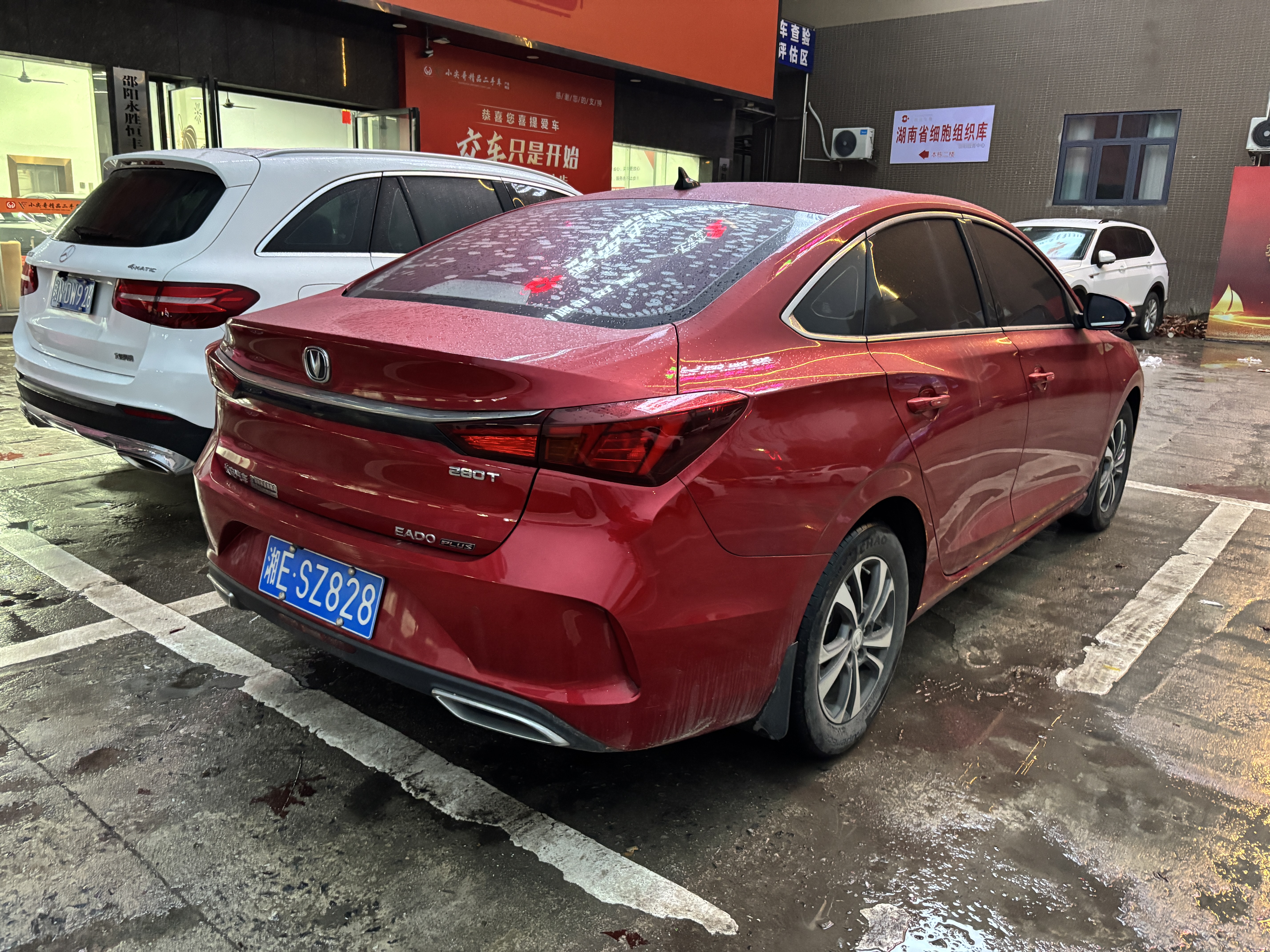 Changan Eado 2021 immagine di auto #3