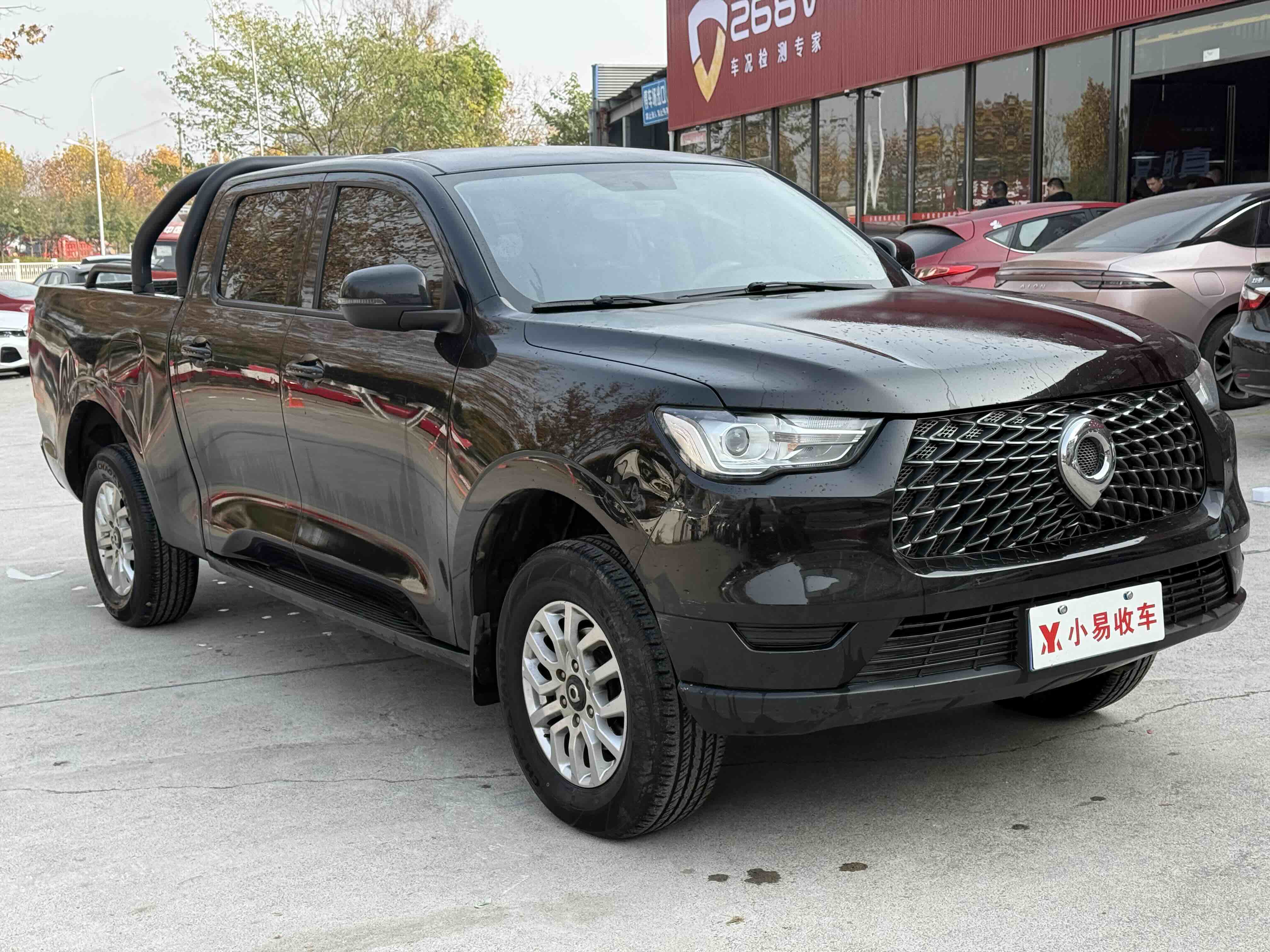 Great Wall Poer 2020 car image #3