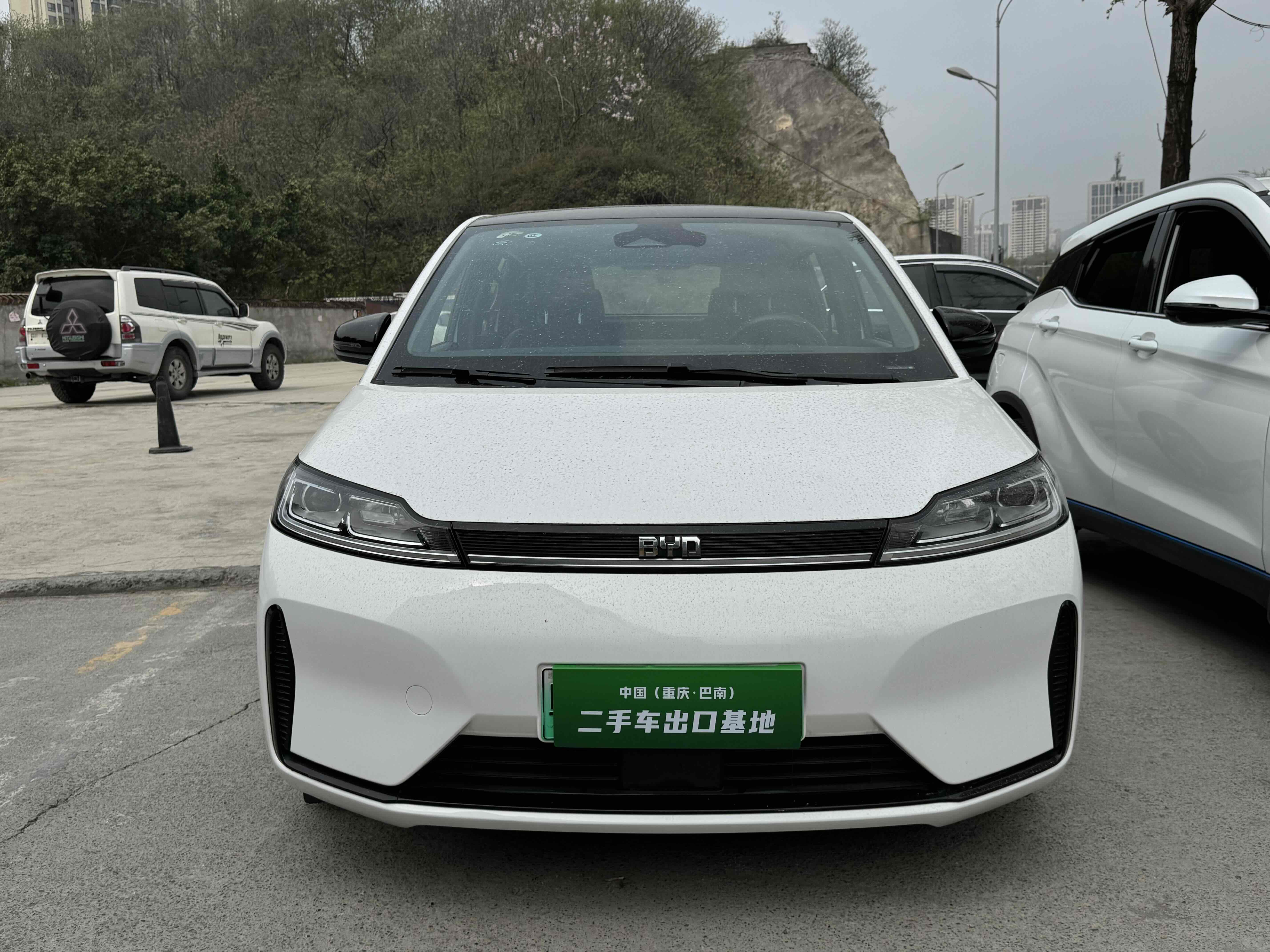 BYD D1 2021 immagine di auto #3