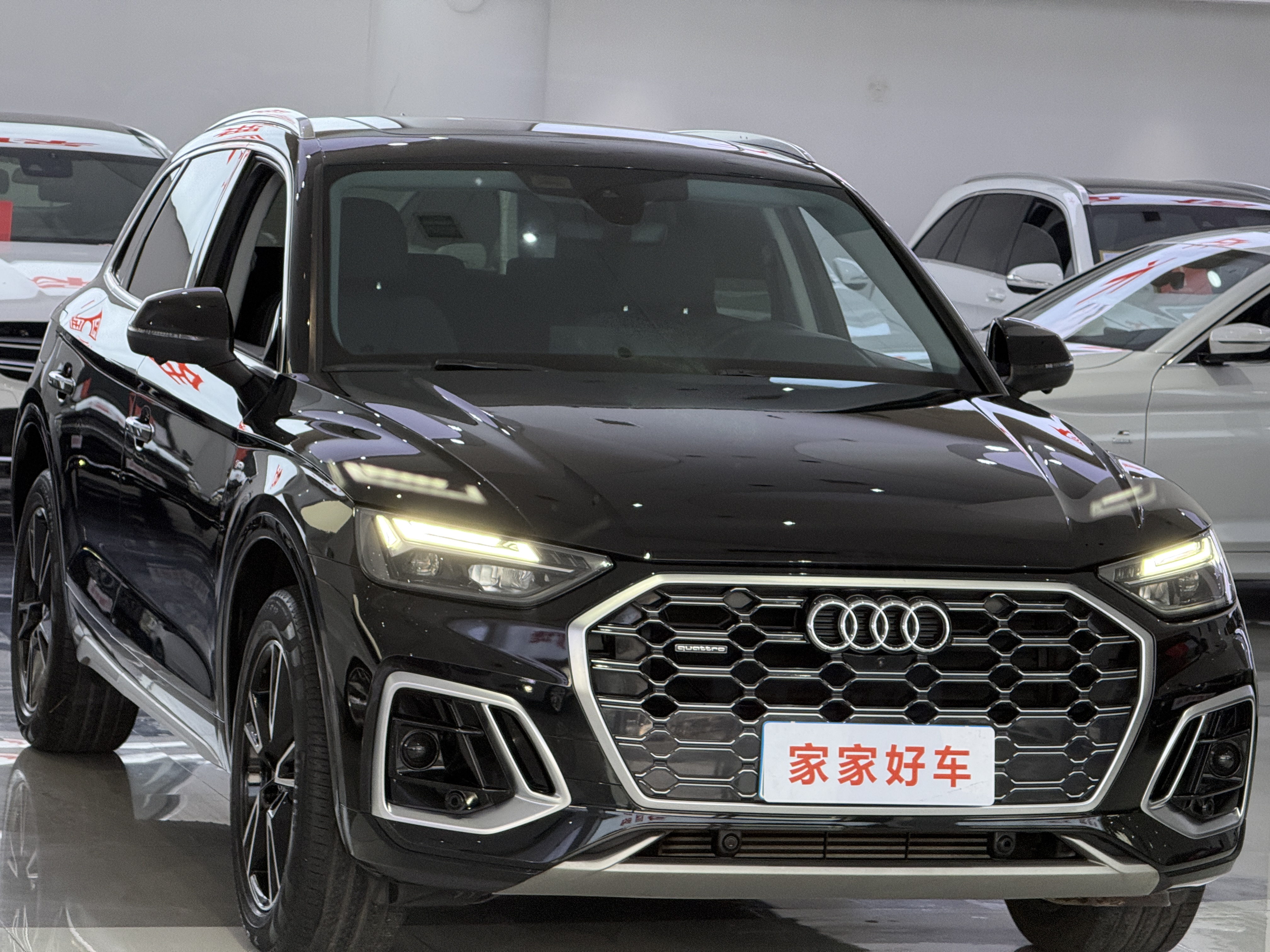 Audi Q5L 2021 car image #3