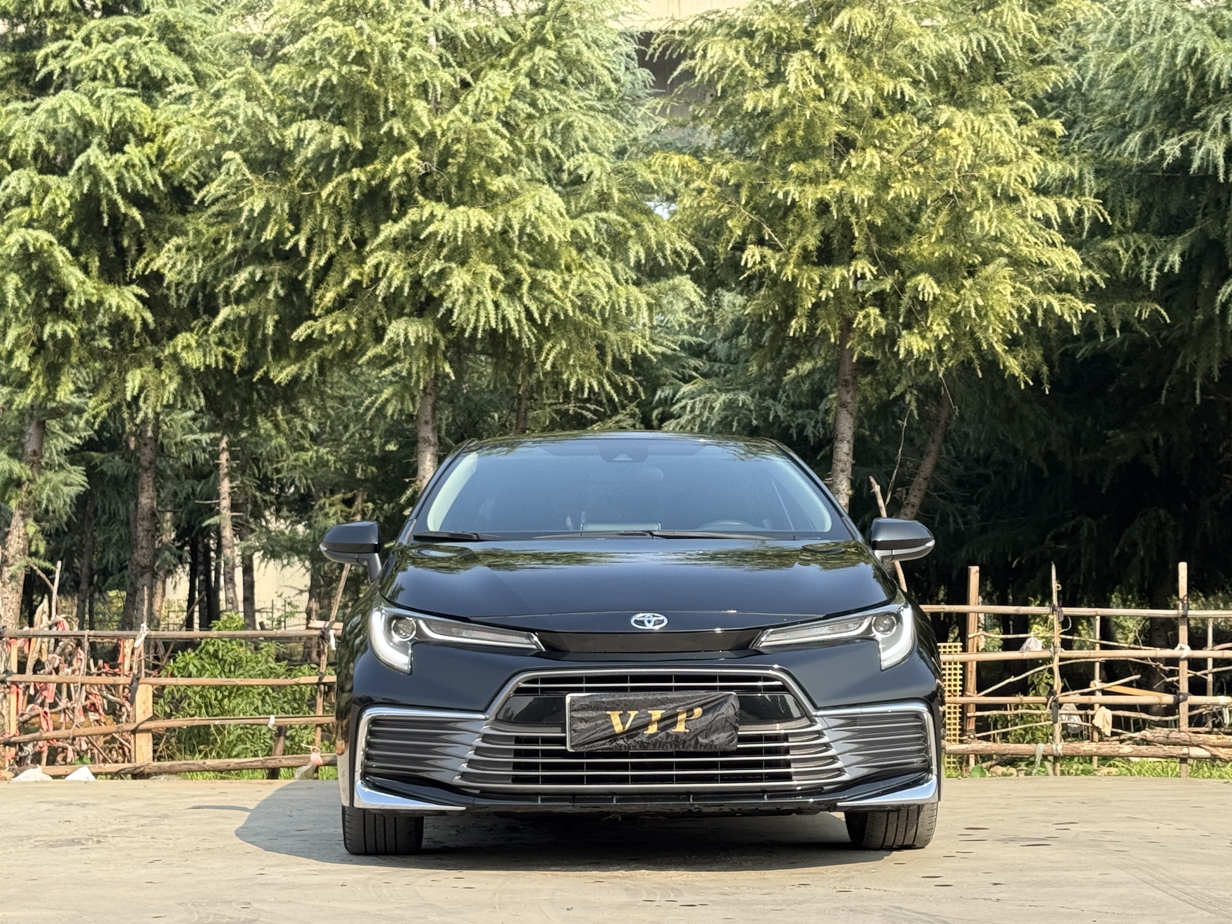 Toyota Lingshang 2022 صورة سيارة #3