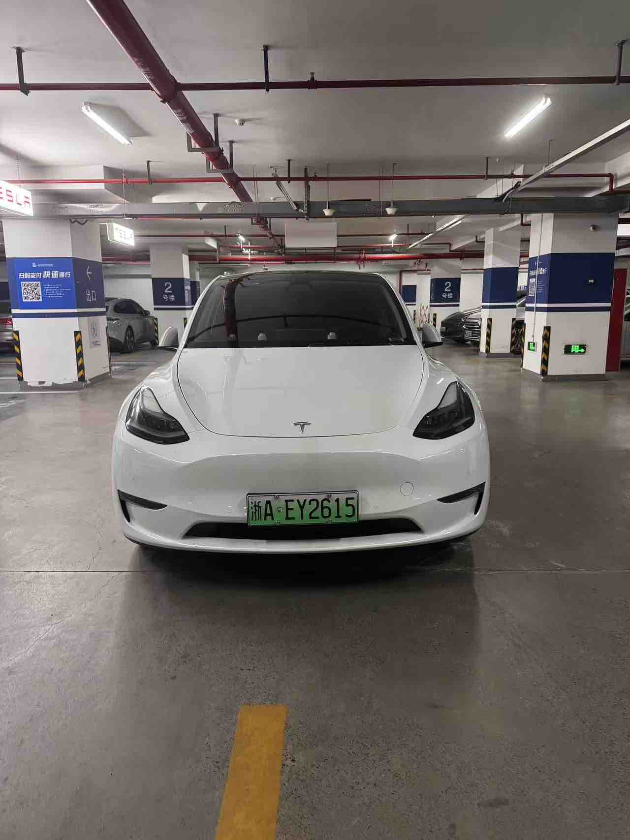 Tesla Model Y 2021 #3 Tesla Model Y 2021 car image #3