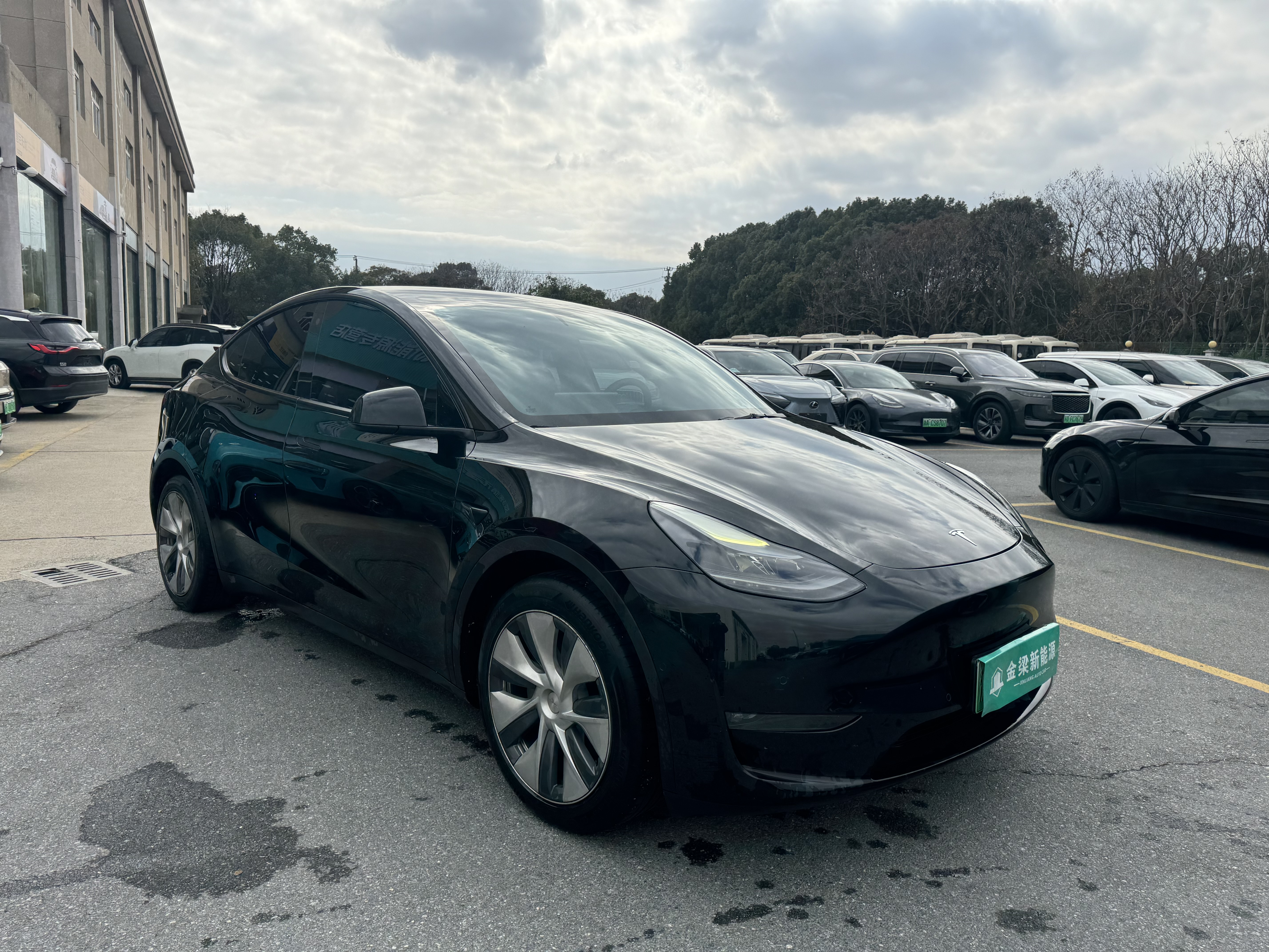 Tesla Model Y 2021 #3 Tesla Model Y 2021 car image #3